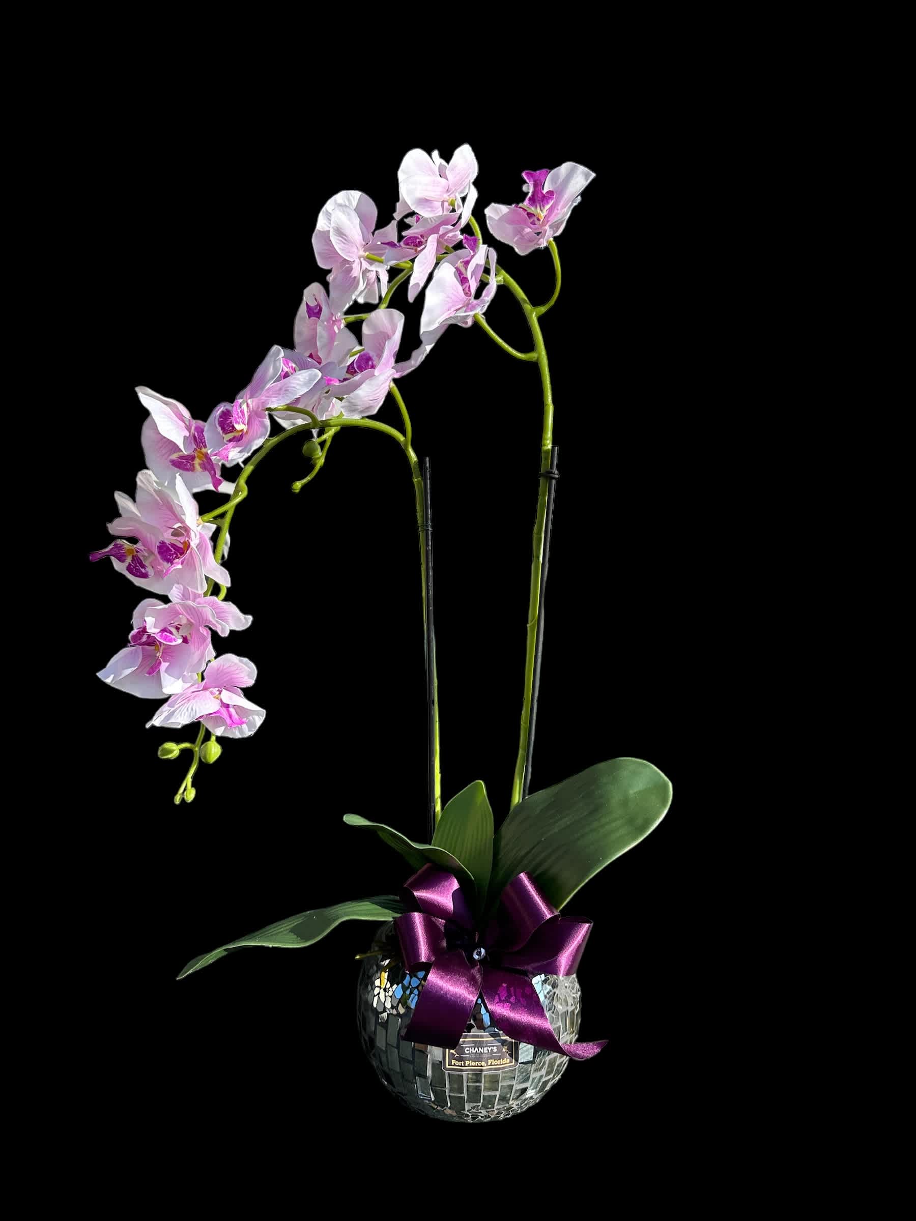 Chaney´s Artificial Orchid PURPLE and WHITE  - A beautiful real touch artificial orchid hand arranged in a ceramic pot. Always a good choice!