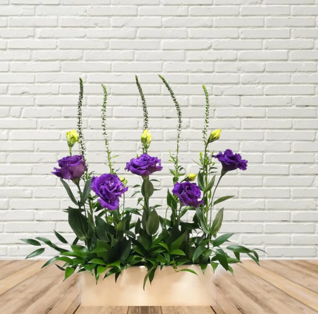 Beyond the Sea Beyond the Sea - Parallel Garden design of Lisianthus and Gooseneck with varied foliage at the base of a ceramic rectangle container. If ordered out of season we will make appropriate substitutions.