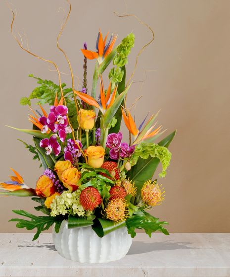 Leilani Leilani - Tropical rainforest flower arrangement with orchids bells of ireland pincushion protea luxury flowers birds of paradise summer. Add lush rainforest vibes to your home or office with "Leilani", a beautiful floral arrangement of phalaenopsis orchids, red and yellow pincushions, high magic roses, birds of paradise and more in an elegant pot from Accent Decor!