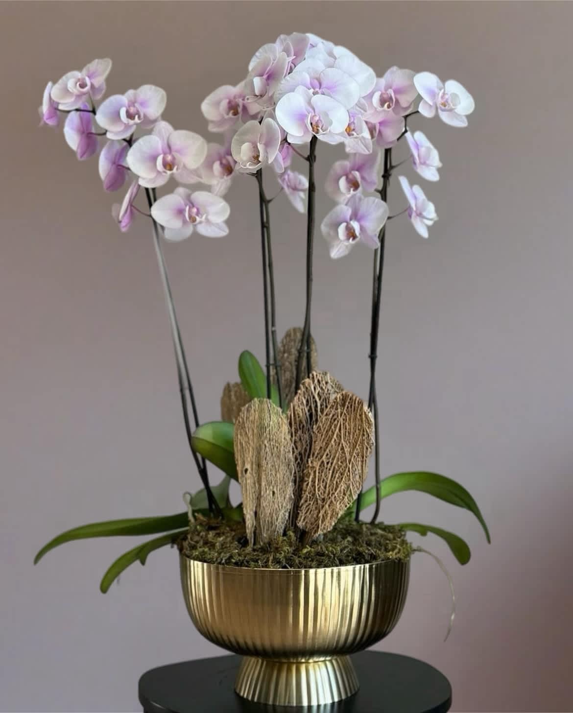 Orchids in gentle pink ! - Orchids are known for their elegance, beauty, and delicate nature. In many cultures, orchids symbolize love, luxury, and strength. The pink color adds a touch of softness and femininity to the image, evoking feelings of grace, charm, and affection. The gentle pink hue of the orchids represents tenderness, compassion, and nurturing qualities. Overall, this image captures the allure and symbolism of orchids in their delicate pink form.
