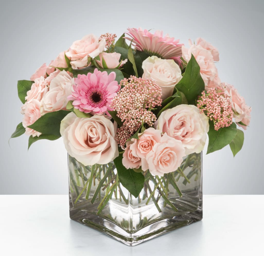 Ballet Slipper Ballet Slipper - A soft and feminine way to spread cheer! Whether sending best wishes for a new baby, birthday or general cheer up, Ballet Slippers is a great gift for the pink lover in your life.