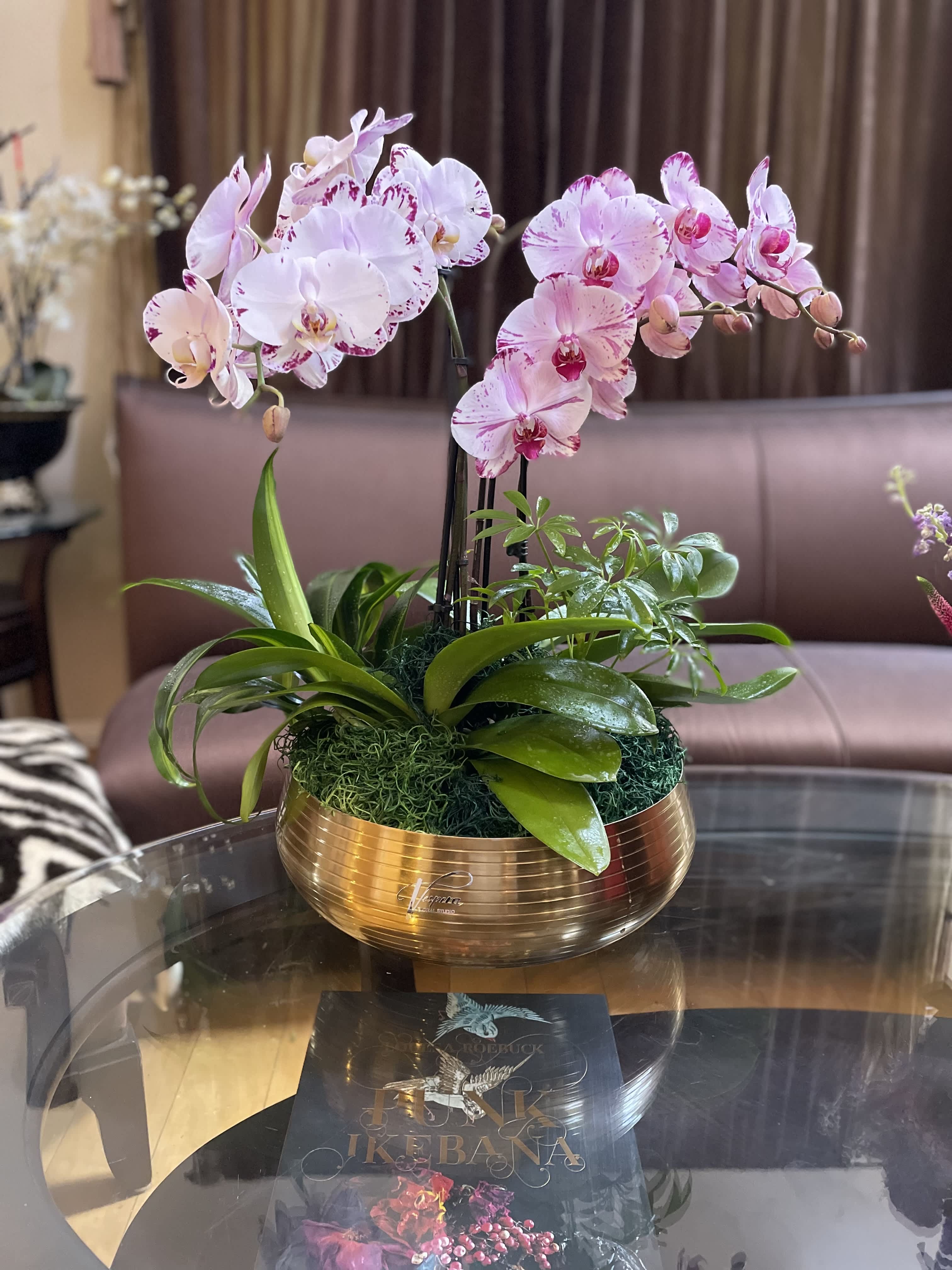 Elegant design with fresh Orchids  - Whether you're looking to enhance your home decor, brighten up your office, or surprise someone special with a thoughtful gift, our Elegant Orchids are the perfect choice. Their timeless beauty and long-lasting blooms will bring joy and serenity to any environment.  These orchids are not only visually stunning, but they are also incredibly easy to care for. With minimal maintenance, they will thrive and continue to grace your surroundings with their allure. 