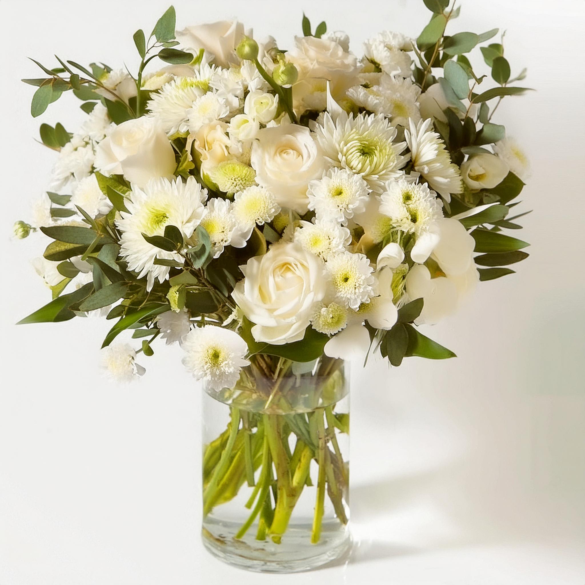 Snowy Serenity Bouquet - The Snowy Serenity Bouquet is a breathtaking arrangement that embodies the pure elegance of winter's beauty. This serene bouquet features a harmonious blend of pristine white roses, delicate chrysanthemums, and charming daisies, all nestled among lush eucalyptus and green foliage. The soft, creamy hues create a calming and sophisticated display, perfect for any occasion where grace and tranquility are desired. Presented in a clear glass vase, the Snowy Serenity Bouquet is ideal for weddings, anniversaries, or as a thoughtful gesture to brighten someone's day. Let this bouquet bring a touch of peaceful elegance and timeless beauty to your special moments, making them unforgettable.