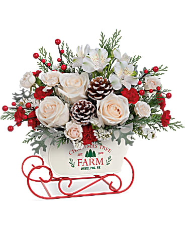 Winter Sleigh Bouquet from Orchids Florist  - With its snowy white rose bouquet and vintage-inspired tree farm motif, this charming metal sleigh is a classic Christmas favorite. This holiday bouquet features crème spray roses, white alstroemeria, miniature red carnations, white sinuata statice and cedar arranged with dusty miller. Teleflora's Winter Sleigh Bouquet is delivered in Teleflora's Snow What Fun Sleigh Keepsake. Orientation: All-Around