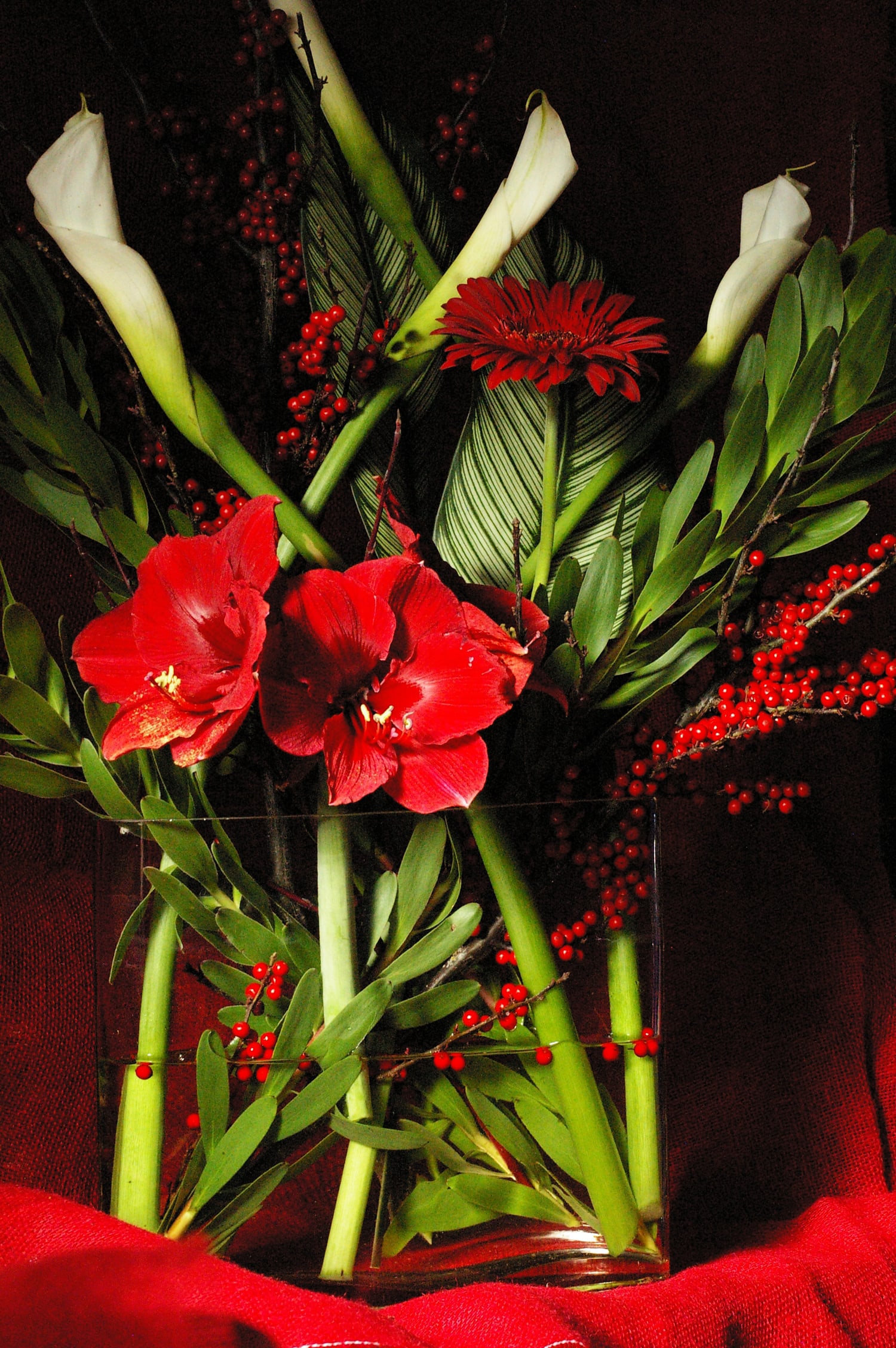 Milan Milan - Red amarylla, calla lilies and ilex berries in vase