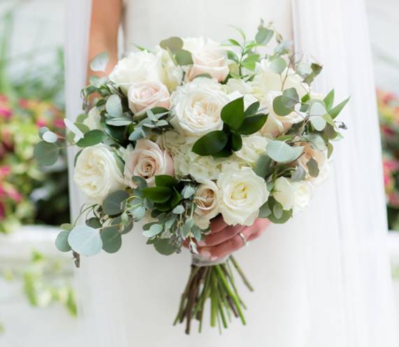 Bashful Blush Bridal Bouquet - This stunning hand tied bouquet has a combination of Israeli Ruscus, Silver Dollar Eucalyptus, Gunni Eucalyptus, White Hydrangea, Blush Pink Roses, White Garden Roses, and White Escimo Roses tied off in a simple white satin ribbon