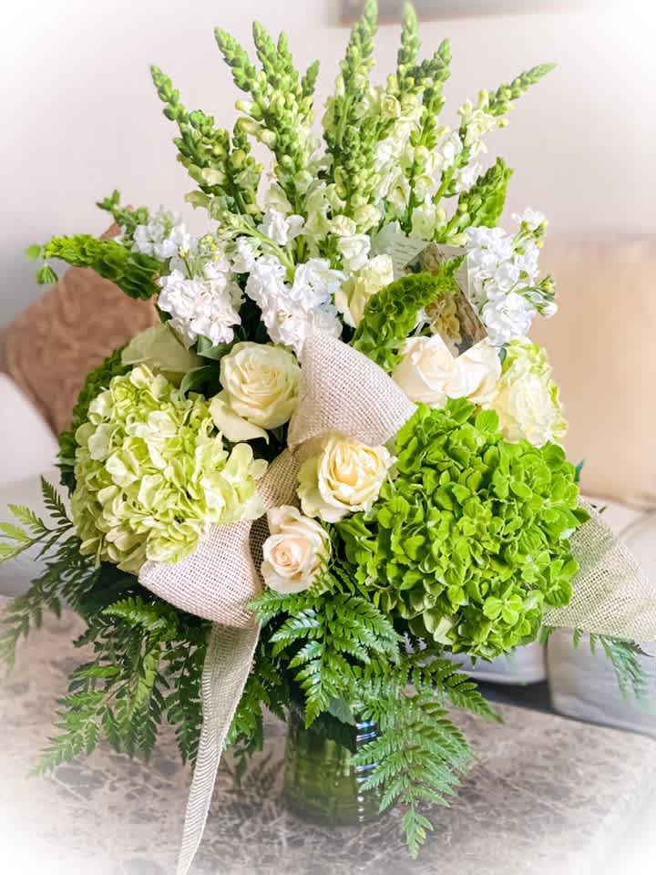 Rainforest fresh Rainforest fresh - Elegant