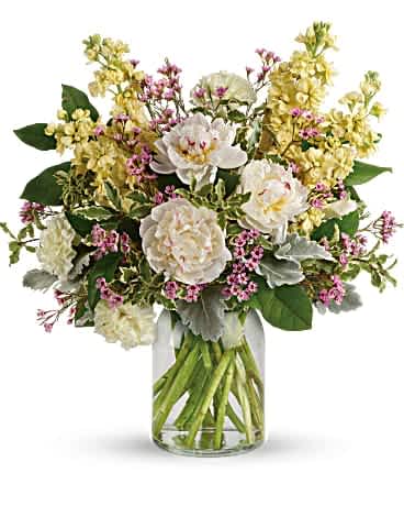Serene Spring Peony Bouquet - Put a stylish spin on spring celebrations with this chic bouquet of perfect peonies, carnations, and stock. Its creamy color scheme and vintage-inspired milk jug vase bring sophisticated serenity to any occasion! This serene arrangement features white peonies, light yellow carnations, light yellow stock, lavender waxflower, dusty miller, pitta negra, and lemon leaf. Delivered in a clear glass milk jug vase.