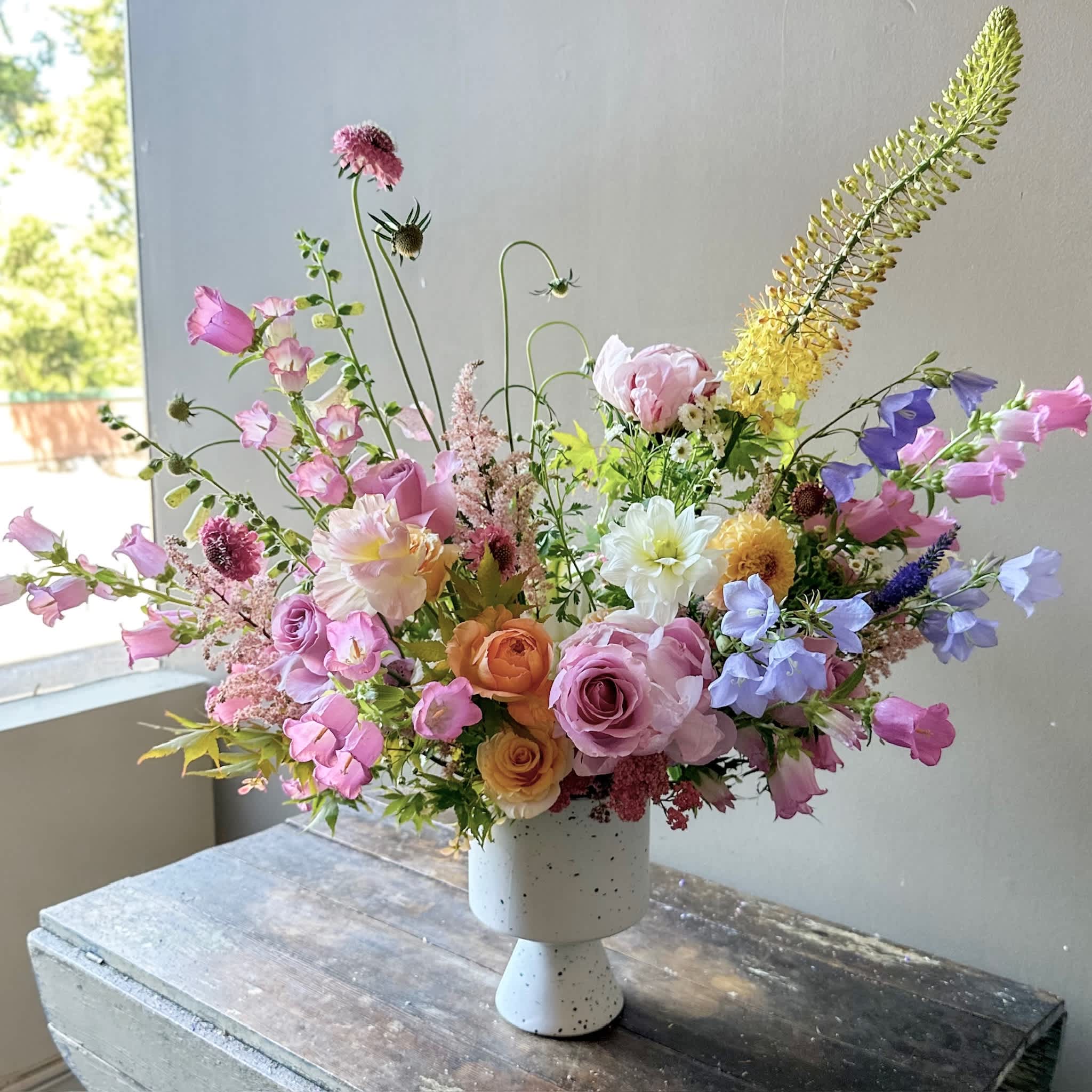 Zaanse (Gallery Photo) by Kawa Flowers