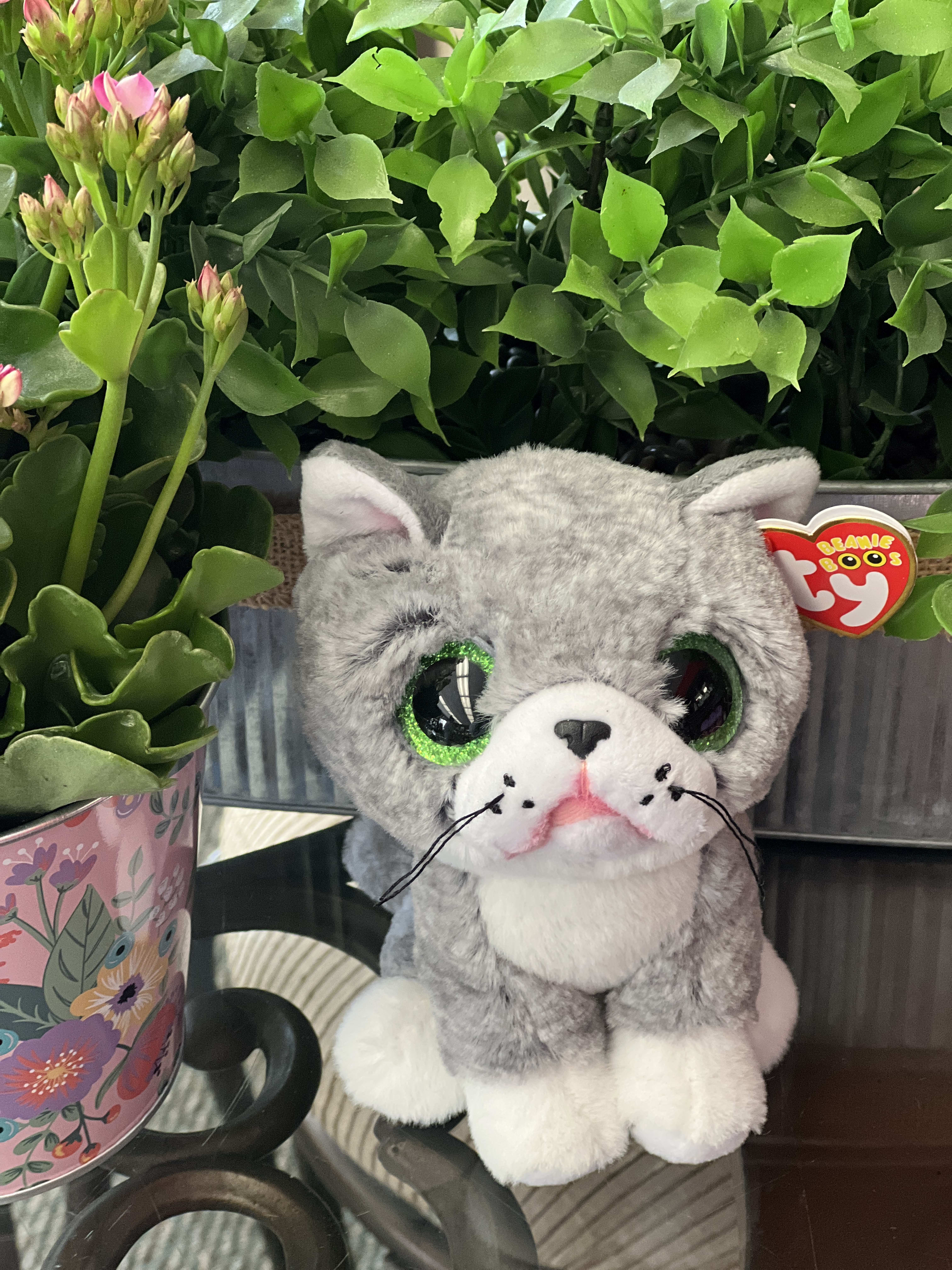 Beanie boos cat hotsell