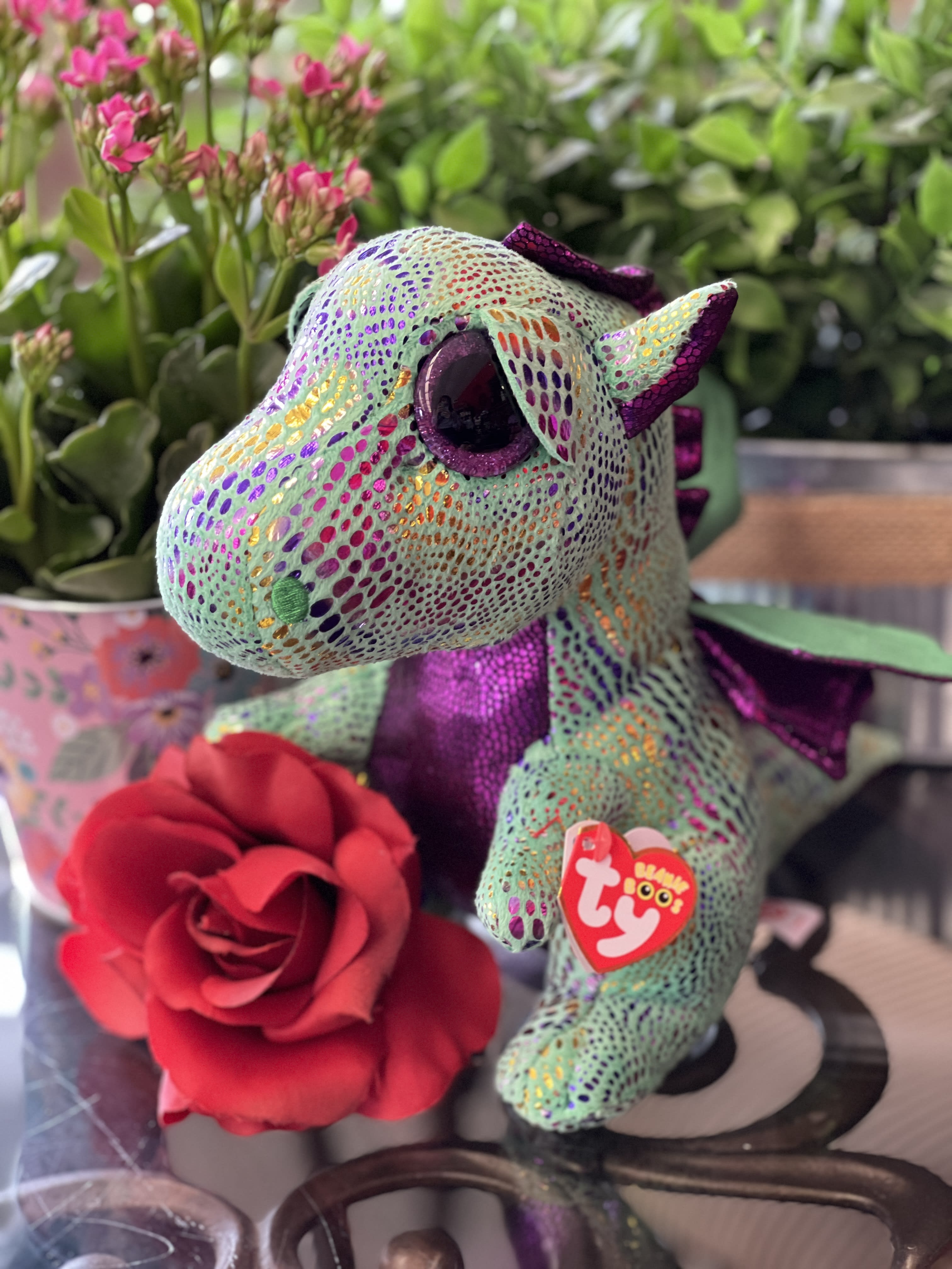 Cinder the dragon beanie boo on sale