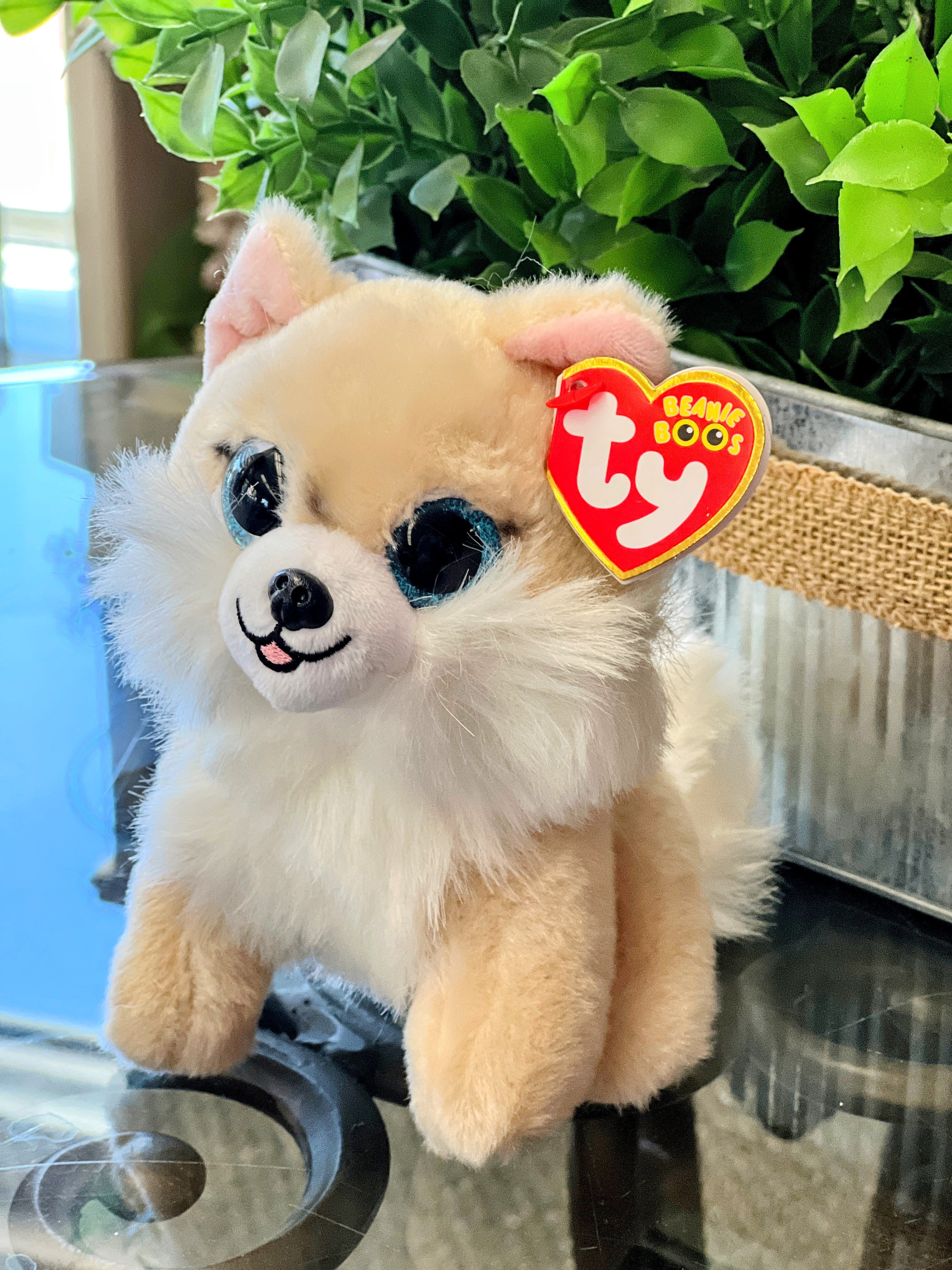Beanie Boo Honeycomb Corgi in Caldwell ID Caldwell Floral