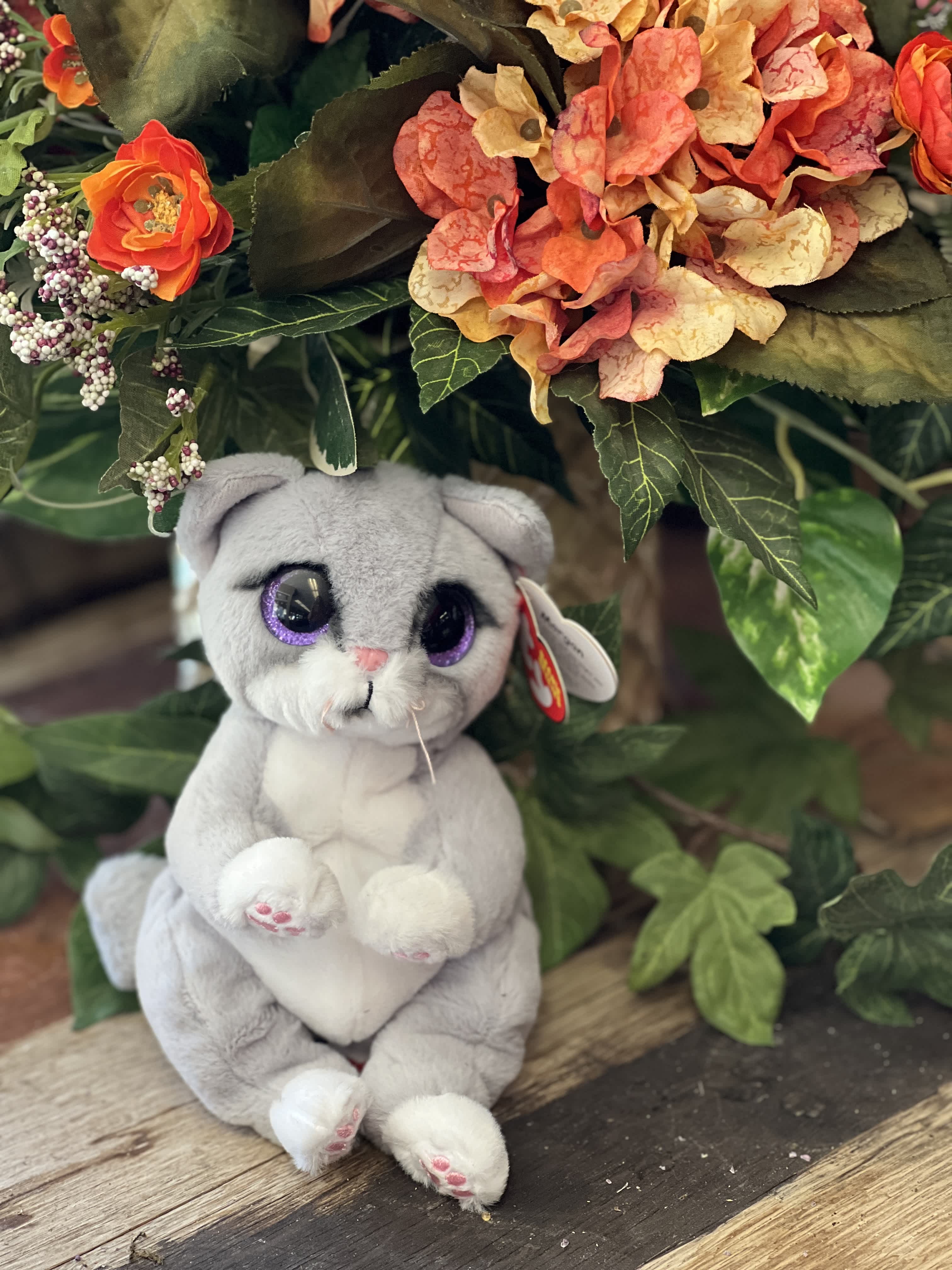Morgan beanie baby sale