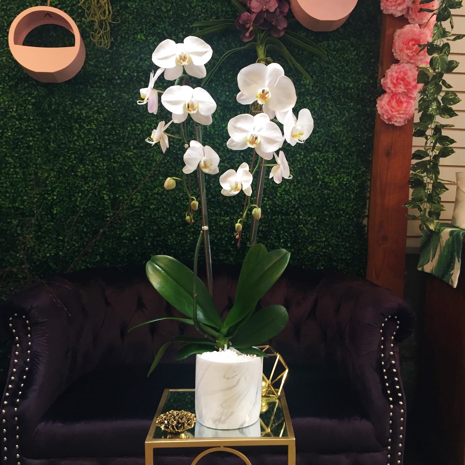 Snowflake Orchid - No two snowflakes are alike, exactly like these white 2-stem phalaenopsis orchids. Standing tall in a 6&quot; x 6&quot; vase filled with white river rocks, it's beautiful individually, while simultaneously complimenting the other. Cool, calm, and posed to perfection, it stands approximately 22&quot; x  8&quot; tall. 