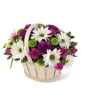 The FTD Blooming Bounty Bouquet - This pretty basket is sure to cheer up anyone's day. This white-wash handled basket is filled with green button pompons, white daisy pompons, hot pink mini carnations and purple carnations. A lavender ribbon bow completes your best wishes.