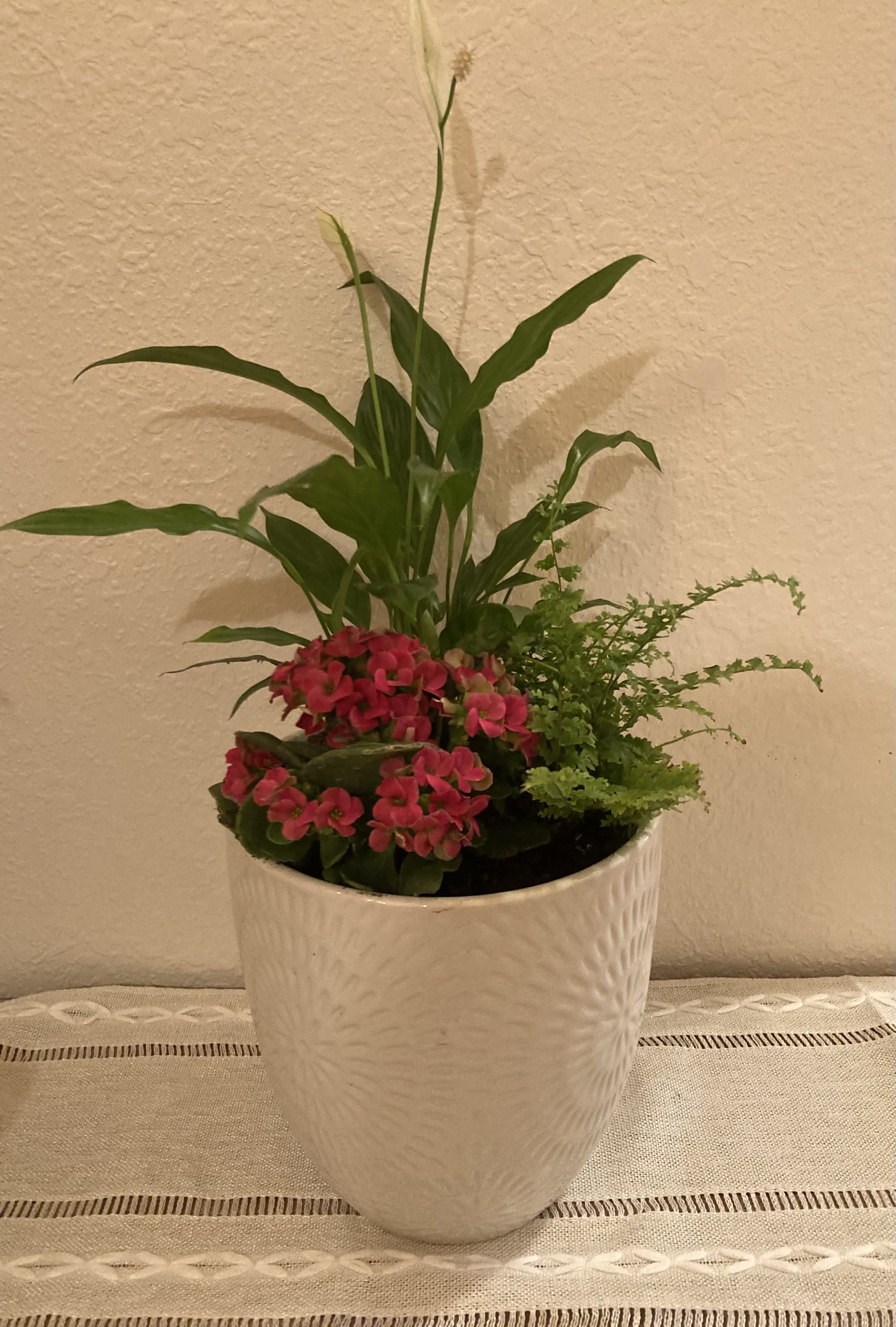Blooming Plant Assortment - Blooming plant in decorative ceramic pot