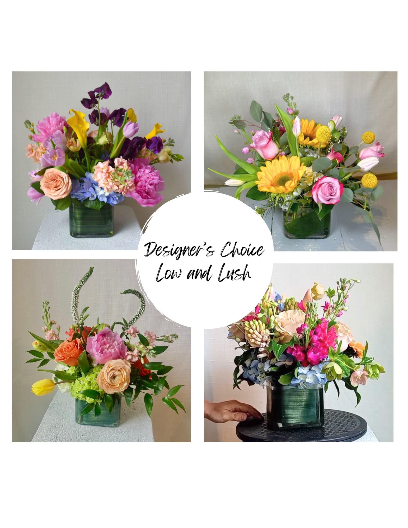 Designer's Choice Low & Lush in Durham, NC | Floral Dimensions