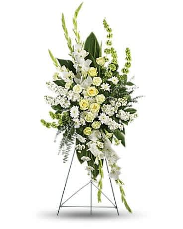Magnificent Life Spray - A magnificent symbol of love and peace, this pure white and green spray conveys your sympathy with elegance and grace. This gorgeous array of green roses, green carnations, white gladioli, white stock, white cushion spray chrysanthemums and bells of Ireland is accented with green ti leaves, spiral eucalyptus and lemon leaf.Approximately 29&quot; W x 58 1/2&quot; H