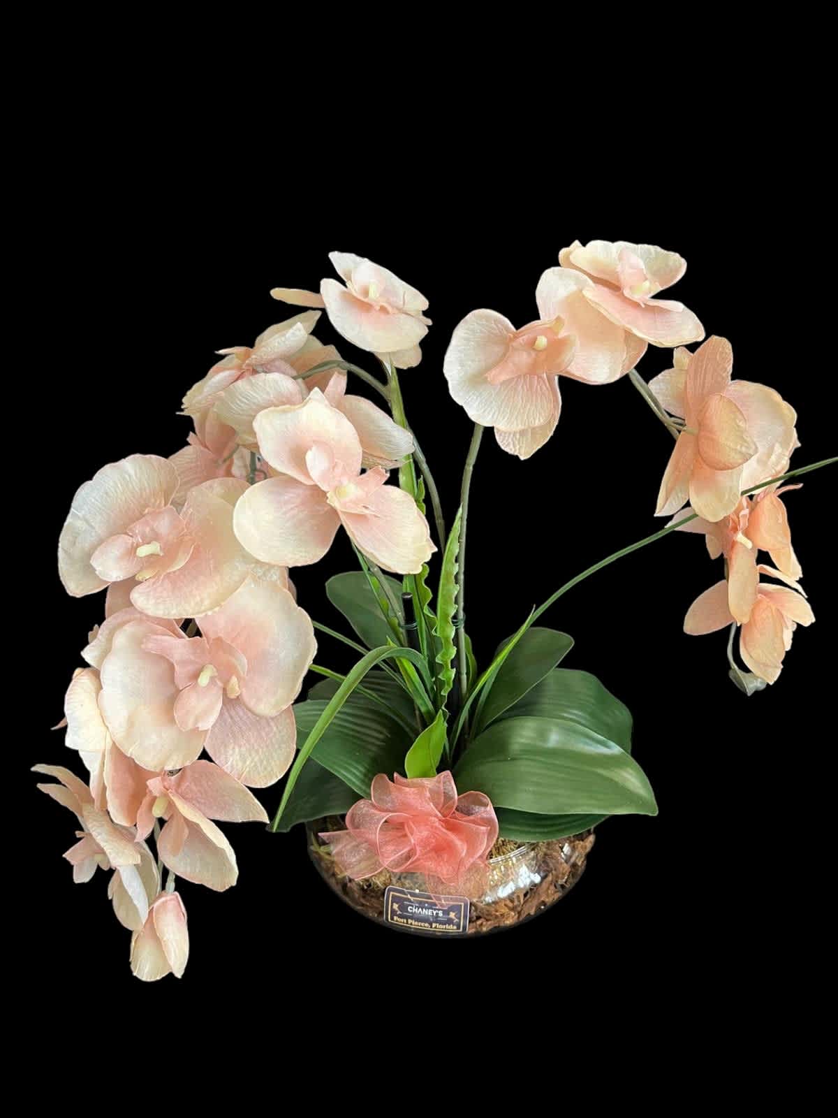 Chaney´s Artificial Orchid BEIGE 8&quot; - A beautiful real touch artificial orchid hand arranged in a ceramic pot. Always a good choice!