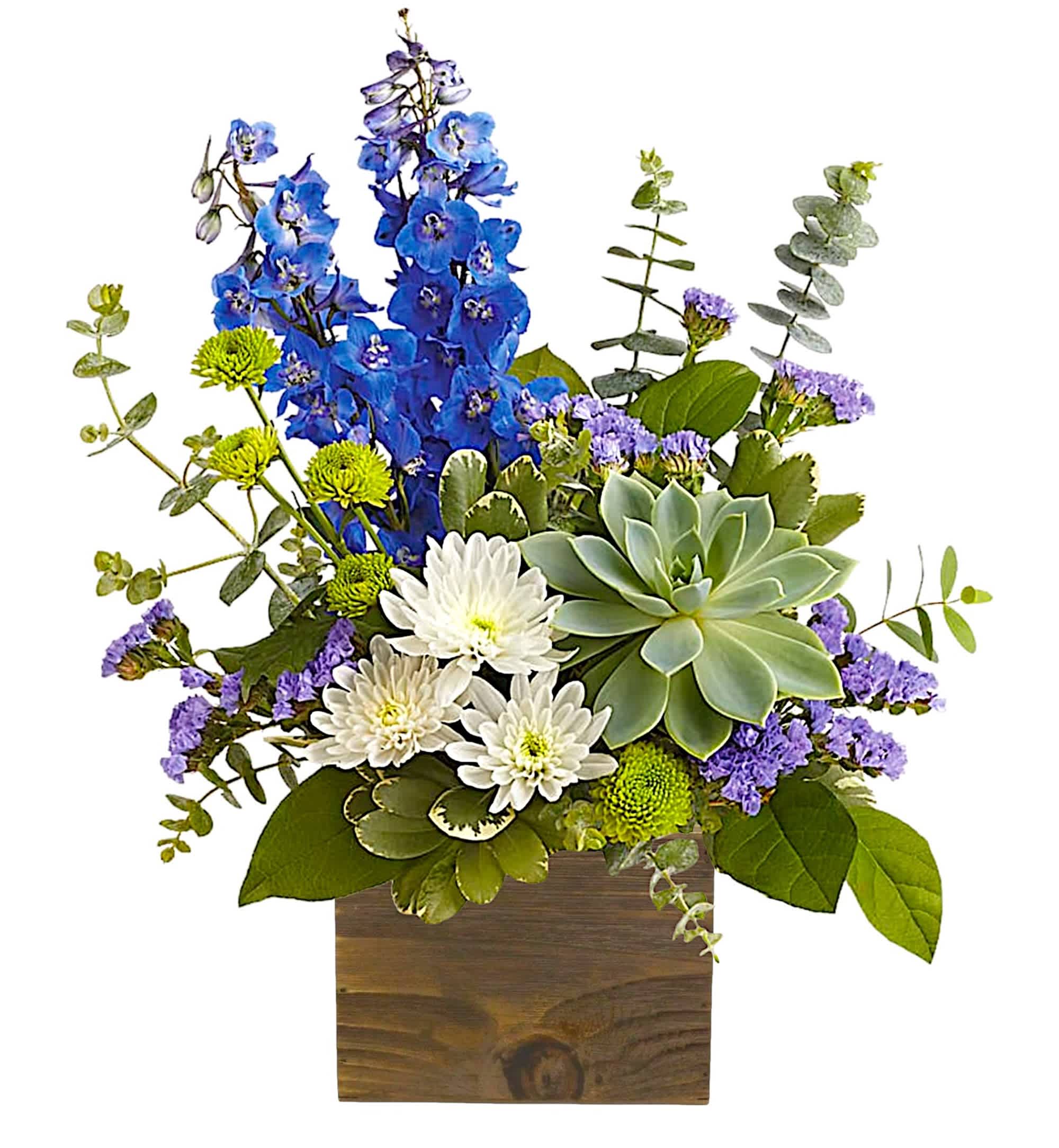 Magnifique - This Magnifique flower arrangement is a chic way to celebrate special moments with a beautiful blue arrangement.  DETAILS Blue delphinium, white cushion spray chrysanthemums, green button spray chrysanthemums and blue statice are accented with lemon leaf, variegated pittosporum, spiral eucalyptus and a green echeveria succulent.  FLORIST-TO-DOOR  Orientation: All-Around  BLOOM DETAILS Roses (Not Included in Standard arrangement) Delphinium Echeveria Succulent Button Mums Cushion Mums Statice Greenery  The Standard Arrangement is approximately 18&quot; H x 14&quot; W. The Deluxe Arrangement is approximately 18&quot; H x 14&quot; W. The Premium Arrangement is approximately 18&quot; H x 15 3/4&quot; W.  Designed by our award-winning florist designers.  HOW TO CARE FOR YOUR FLOWERS 1. Keep in a location without direct sunlight and away from extreme heat or cold. 2. Add water regularly to keep floral foam moist and mix in the flower food packet provided. 3. Trim the stems at an angle every other day. 4. As flowers/foliage wilt, remove &amp; discard  Please Note: The arrangement pictured reflects an original design for this product. While we always do our best to follow the original flower recipe, the exact flower or container is sometimes unavailable. We may replace items of equal or greater value to deliver the freshest flowers possible while keeping the style &amp; color palette. We assure you that we will create a beautiful, fresh flower arrangement with only the best quality flowers to keep you as a loyal customer.  How to place an order? We have several options. 1. You can place an order directly on this secure website... OR 2. You can call in your order by dialing: (323) 262 - 9238... OR 3. You can visit our store (appointment recommended 323.262.9238)  NINFA'S FLOWERS 2405 WHITTIER BLVD. LOS ANGELES, CA. 90023  ATTENTION: *Please note that on busy holidays, Valentine's Day, and Mother's Day, we cannot verify if the recipient received the flowers until the following day because our drivers don't turn in their signature delivery tablets until the following day. You can verify delivery on the website after 10:00 pm, call 323.262.9238 the following day after 10:00 am, or contact the recipient directly if you haven't received a call from them. Thank you for your patience and understanding.