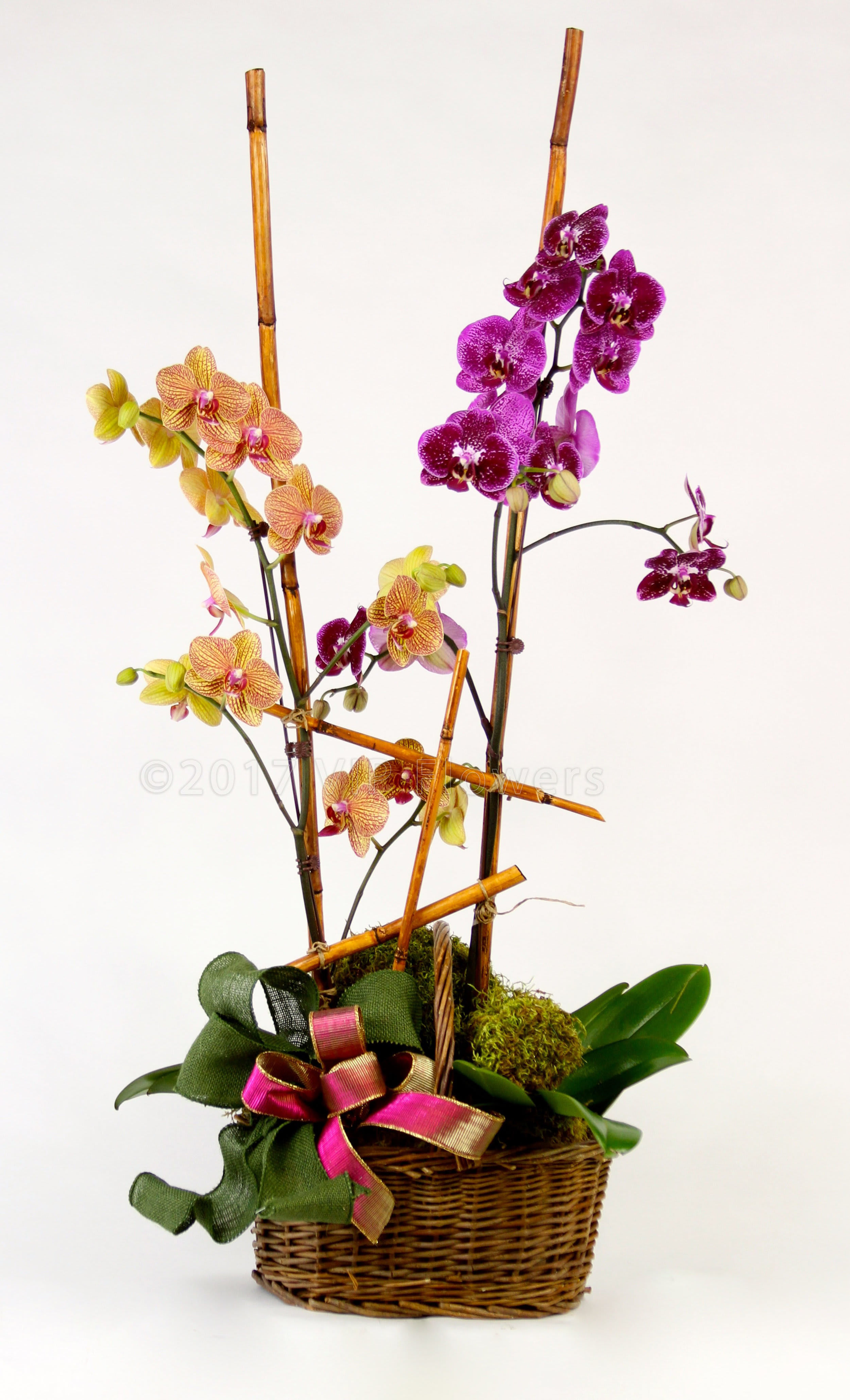 Forever Together - Flowers Included:  Orchids Seasonal Greens Bamboo Other    Substitutions may be necessary to ensure your arrangement or specialty gift is delivered in a timely manner. The utmost care and attention is given to your order to ensure that it is as similar as possible to the requested item (Please note that some flowers and colors may vary due to seasonality.)