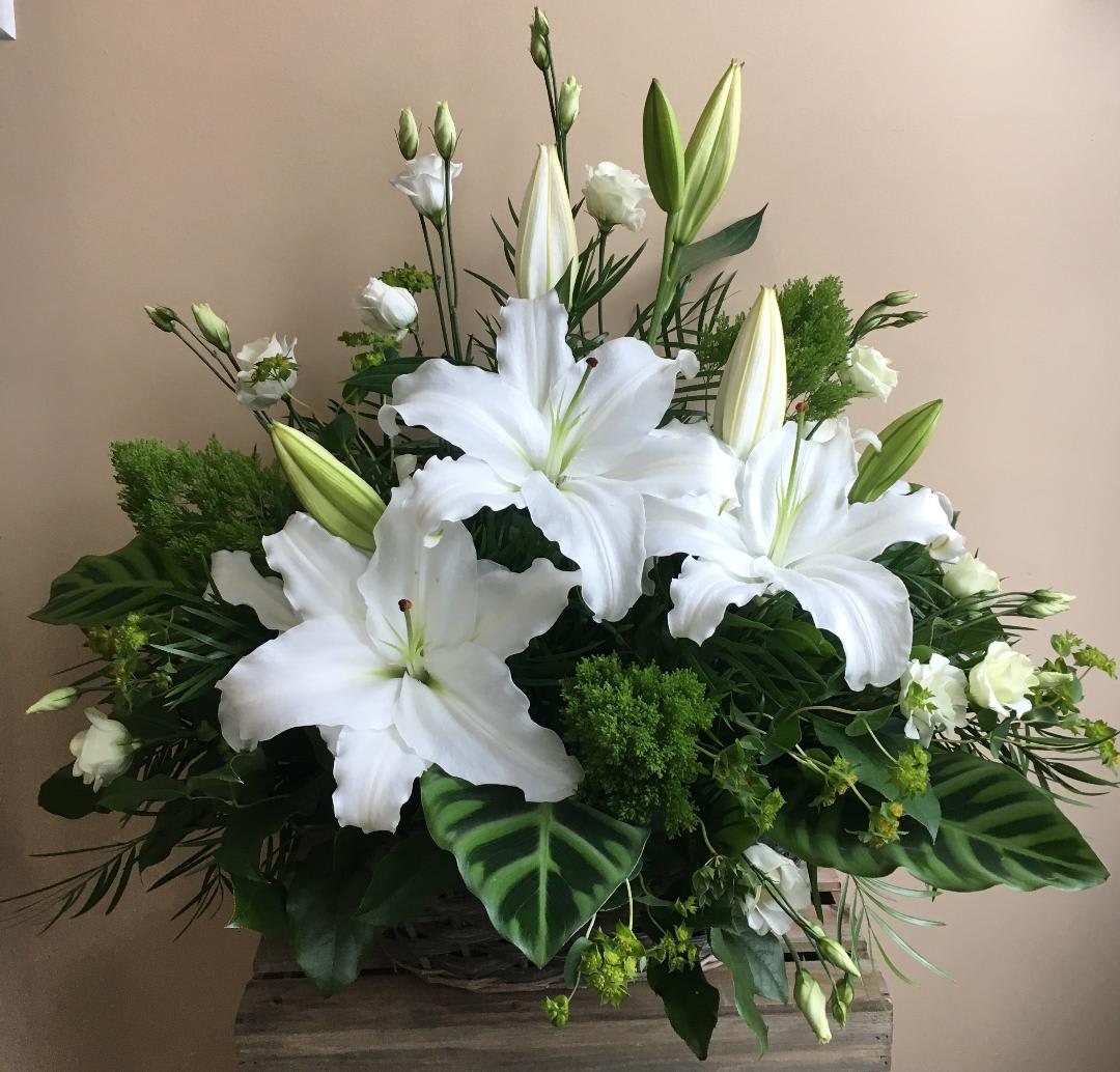 The Serenity by Simply Fresh Flowers (72 hour notice required) - The Serenity basket is a lovely white &amp; green design, highlighting beautifully scented, white hybrid lilies. A simply serene sympathy piece. *Please note this design requires 72 hours notice.