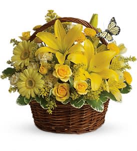 Basket Full of Wishes [T27-2A] - Wishes do come true, by the basketful, actually. This delightful arrangement is so full of sunny blossoms, it even includes a pretty yellow butterfly who obviously feels right at home, basking in the warmth.  Brilliant yellow spray roses, asiatic lilies, miniature gerberas, carnations, alstroemeria, button spray chrysanthemums and delightful greenery are joined by a delicate butterfly in an oval basket. It's a basket of wonder and wishes!  Approximately 12&quot; W x 11&quot; H  Orientation: All-Around      As Shown : T27-2A