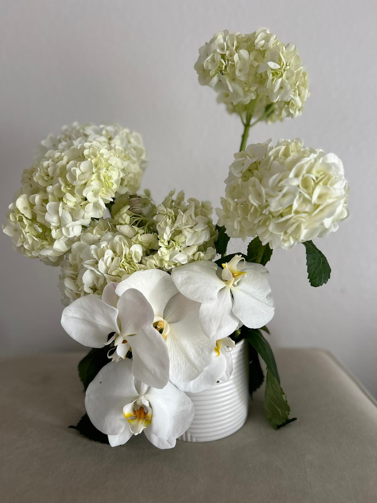 Snowflake Serenade - Delicate and unique, these white flowers dance in a beautiful celebration, honoring the magic of love! The &quot;Fresh Start Arrangement&quot; features an all-white display of roses, tulips, and lilies, perfect for celebrating new beginnings and honoring couples. Its timeless beauty also makes it suitable for weddings, symbolizing purity and unity, as well as for funerals, offering solace and a respectful tribute to loved ones.