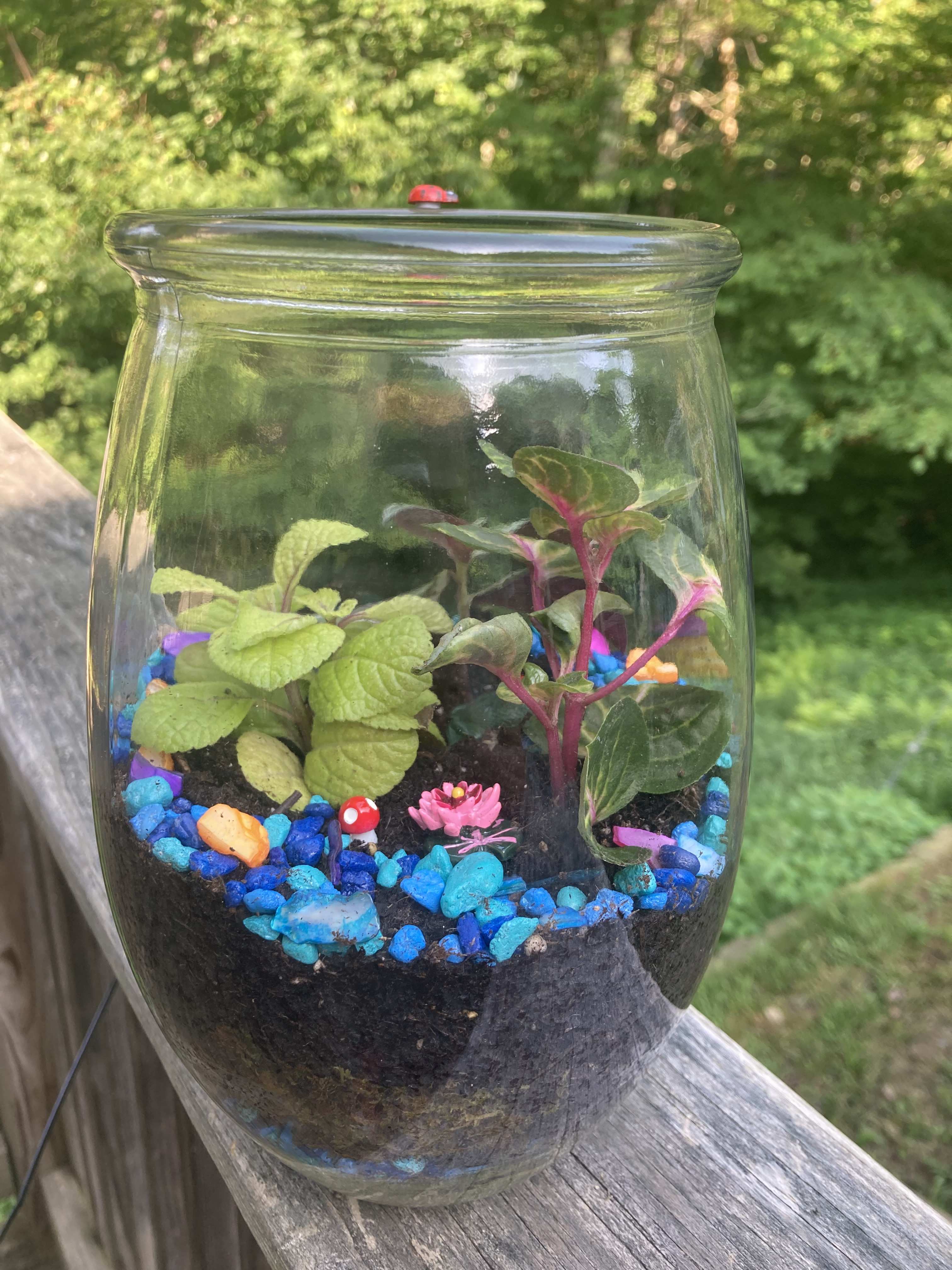 Custom Made Terrarium in Claremont NH Mica Mine Floral