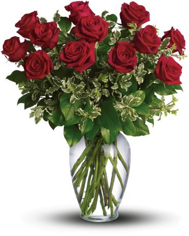 Always on My Mind - Long Stemmed Red Roses - The classic romance of a dozen red roses can say so many things, from &quot;I love you!&quot; to &quot;I'm sorry.&quot; Stunning in its simplicity, this elegant arrangement of deep red roses, rich green salal and delicate pitta negra makes quite an impression. It's the perfect choice when you want to send flowers to your girlfriend's office! 