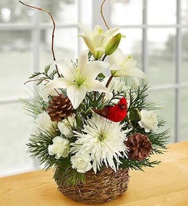 Wintertime Birds Nest of Flowers Wintertime Birds Nest of Flowers - Invite the serenity and beauty of winter into their home with this hand-crafted mix of lilies, mums, carnations, and assorted evergreens. Artistically designed in a charming bird's nest basket and accented with birch branches, pinecones and a festive bird pick.