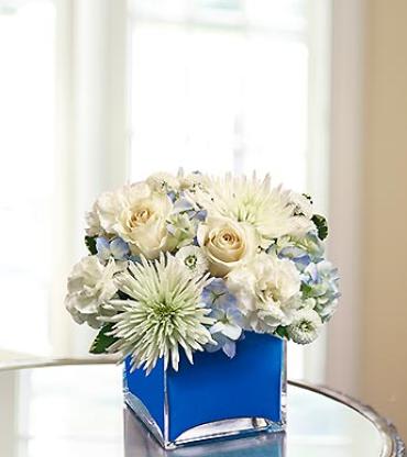 Colors of Love - Blue Colors of Love - Blue - They'll be feeling anything but blue when you send this gorgeous arrangement of blue hydrangea, white roses, carnations, spider mums and poms. Hand-designed by our florists in a chic cube vase lined with a bright blue foam ribbon. (Vase/Basket style may vary) Item # 91188