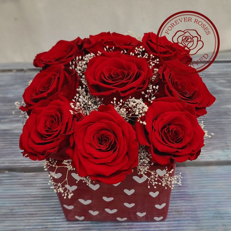 Para mi Amor (Forever Roses)  - 9 Red Preserved Roses Surrounded by Preserved Baby's Breath, in a Valentine's ceramic vase.