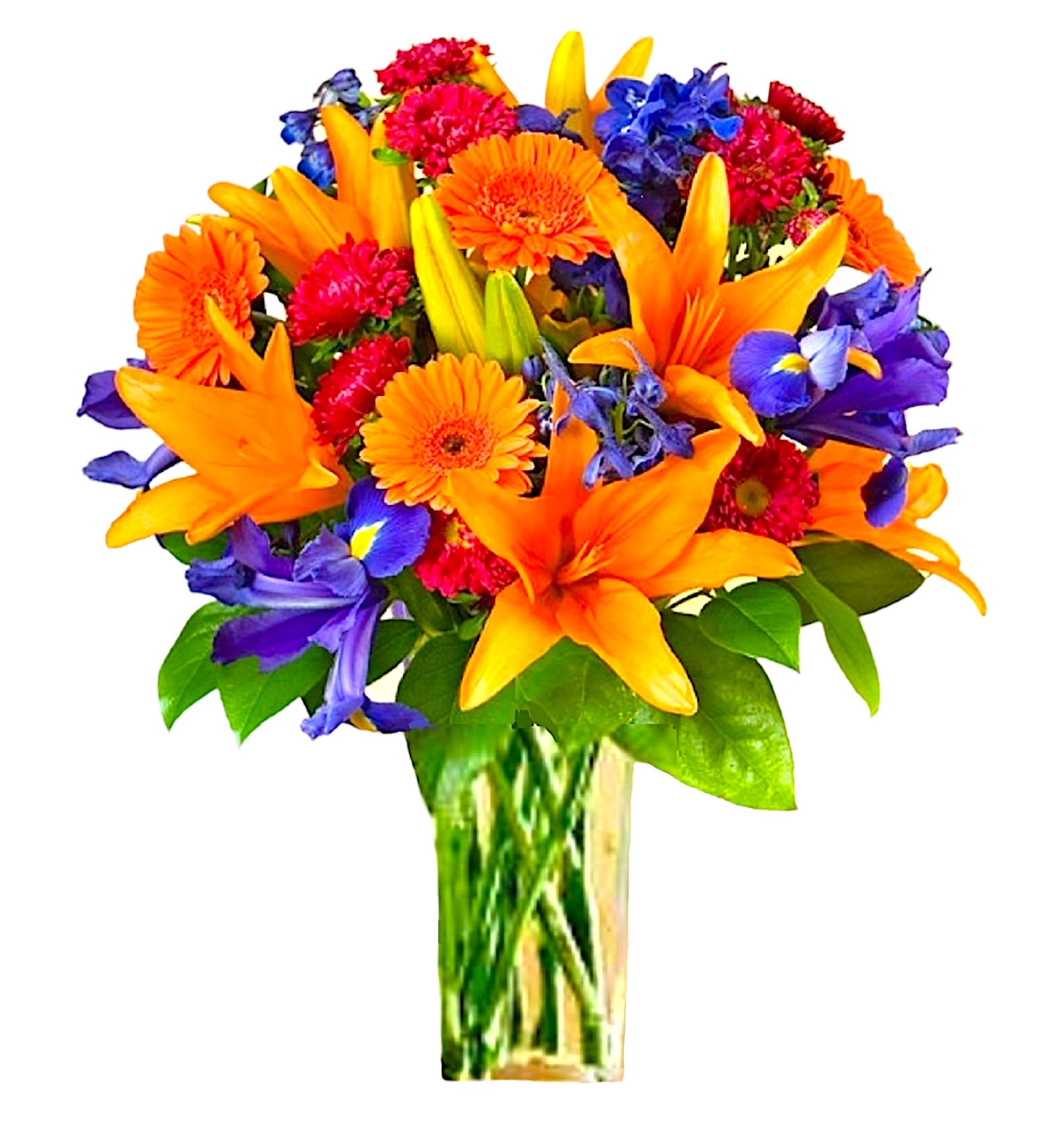 Orange Delight - A perfectly pleasing mix of orange, red, and blue blossoms make this a truly happy gift. So full of fun feelings, this is the perfect arrangement to make anyone smile.  DETAILS Vibrant orange Asiatic Lilies, orange gerberas, blue delphinium, blue iris, and red Matsumoto asters, fill a clear glass vase.  Item # NF-17  FLORIST-TO-DOOR  Orientation: All-Around  BLOOM DETAILS Asiatic Lilies Gerbera Daisies Matsumoto Asters Iris Delphinium Greenery  The Standard Arrangement is approximately 16&quot;W x 18&quot;H. The Deluxe Arrangement is approximately 16 1/2&quot; W x 19&quot; H. The Premium Arrangement is approximately 17&quot; W x 20&quot; H.  Designed by our award-winning florist designers.  HOW TO CARE FOR YOUR FLOWERS 1. Keep in a location without direct sunlight and away from extreme heat or cold. 2. Replace the water regularly, and mix in the flower food packet provided 3. Trim the stems every other day 4. As flowers/foliage wilt, remove &amp; discard  Please Note: The arrangement pictured reflects an original design for this product. While we always do our best to follow the original flower recipe, the exact flower or container is sometimes unavailable. We may replace items of equal or greater value to deliver the freshest flowers possible while keeping the style &amp; color palette. We assure you that we will create a beautiful, fresh flower arrangement with only the best quality flowers to keep you as a loyal customer.  How to place an order? We have several options. 1. You can place an order directly on this secure website. 2. You can call in your order by dialing: (323) 262 - 9238 3. You can visit our store (appointment recommended 323.262.9238)  NINFA'S FLOWERS 2405 WHITTIER BLVD. LOS ANGELES, CA. 90023  ATTENTION: *Please note that on busy holidays, Valentine's Day, and Mother's Day, we cannot verify if the recipient received the flowers until the following day because our drivers don't turn in their signature delivery tablets until the following day. You can verify delivery on the website after 10:00 pm or you can call 323.262.9238 the following day after 10:00 am. Thank you for your patience and understanding.