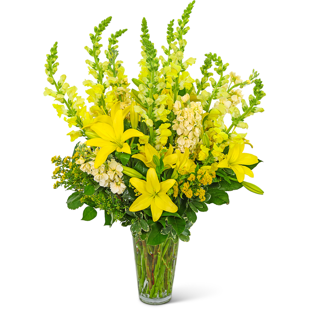 Radiant Meadow - Radiant Meadow is a stunning flower design created to bring joy and vibrancy into any room! Bursting with color, this gorgeous arrangement is sure to brighten anyone's day. This beautiful bouquet features a stunning mix of yellow snapdragons, stock, lilies, solidago, and premium foliage. The combination of colors and textures in this arrangement will leave a lasting impression on anyone who receives it. Whether it's to celebrate a special occasion or simply to brighten someone's day, Radiant Meadow is the perfect choice.