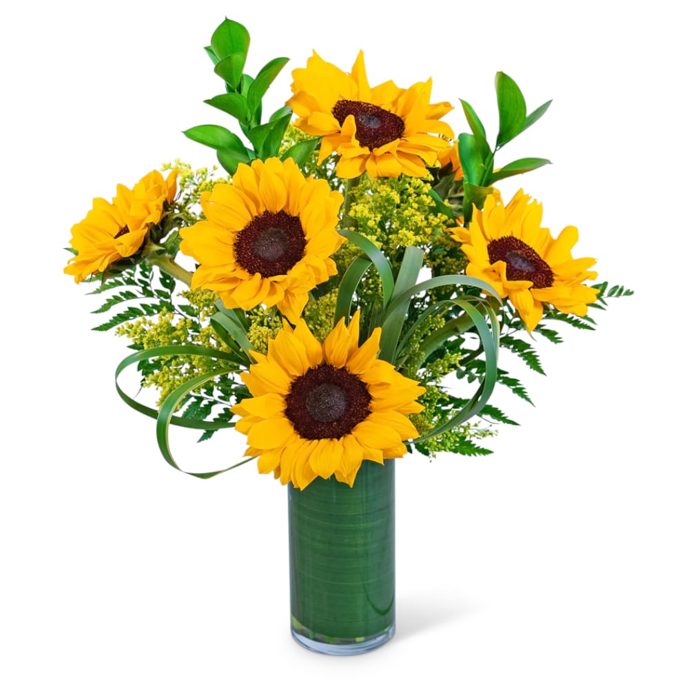Ray of Golden Sunflowers Ray of Golden Sunflowers - Ray of Golden Sunflowers is a timeless, classic flower arrangement that's always in style. Delicate, sweet, and full of personality, sunflowers add a touch of natural beauty to every occasion. This burst of colorful Sunflowers is designed by our florists and finished with the perfect floral accents and premium foliage, in a leaf-lined, modern glass vase to create a gift that will truly shine. Send a ray of sunshine to someone you love with this beautiful arrangement of vibrant yellow Sunflowers. We specialize in local flower delivery and spreading cheer!