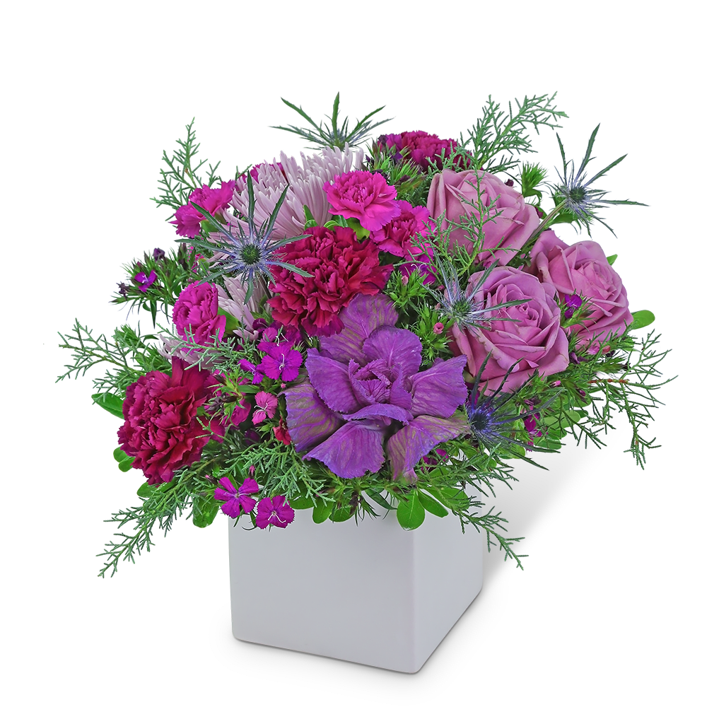 Mulberry Magic - This artistic flower design will brighten anyone’s day! Mulberry Magic contains roses, spider mums, carnations, and dianthus accented with a variety of winter foliage. This unique flower arrangement is truly fresh and fabulous and will add a purple pop of color to anyone's home or office. Send these beautiful flowers to celebrate a birthday, anniversary, or any occasion. We offer same-day flower delivery in most cases.