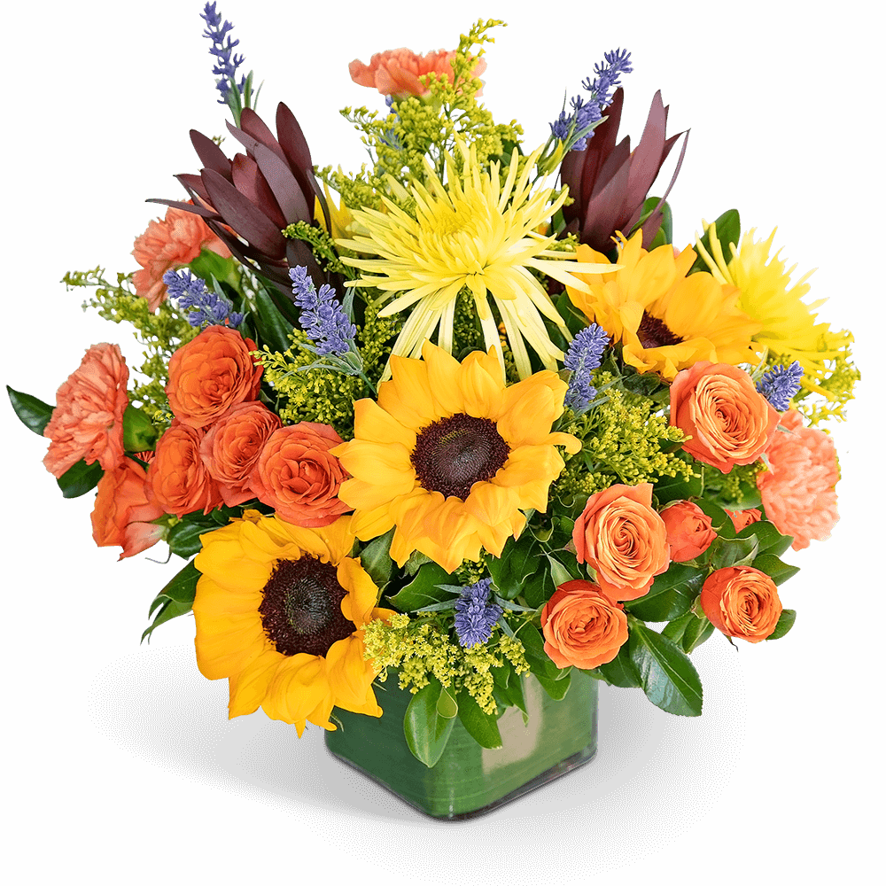 Splendid Abundance - This bright, cheery floral arrangement will add a little flair to any home or office! Splendid Abundance features premium flowers like roses, sunflowers, and Spider Mums for the perfect gift to brighten someone's day.  This burst of colorful fall flowers is hand-arranged by our floral designer and finished in a leaf-lined, glass vase to create a gift that will truly shine. To send flowers is a beautiful gesture itself, but even more when the flowers are delivered with care by our local florist. We even offer same-day flower delivery in most cases!