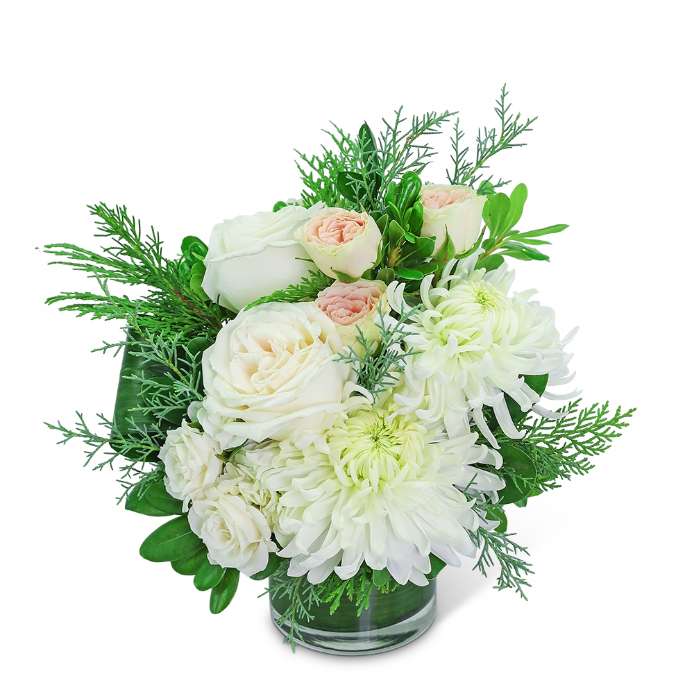 Satin Swan - Our stunning cream and blush flowers are long-lasting and the perfect gift for any occasion. Traditional roses, contemporary mums, and playful hydrangea mix to create a stunning bouquet! Satin Swan is bursting with blossoms and arranged in an eye-catching glass vase, accented with premium winter foliage. A shop favorite, this timeless beauty is perfect for any occasion!