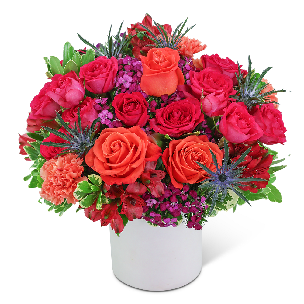 Dreamy Daiquiri - This lush, bright design packs a punch in an on-trend white ceramic container. Our Dreamy Daiquiri arrangement will brighten someone's day and is made from the freshest flowers available. It's the perfect choice for a housewarming or birthday gift. The flowers and container may vary based on availability.