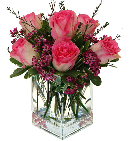 Six Pink Roses - A modern clear glass cube vase is arranged with six beautiful pink roses in a bed of pink waxflower and variegated pitt. A trendy version of 1/2 dozen pink roses that we just love - and we think she will, too!