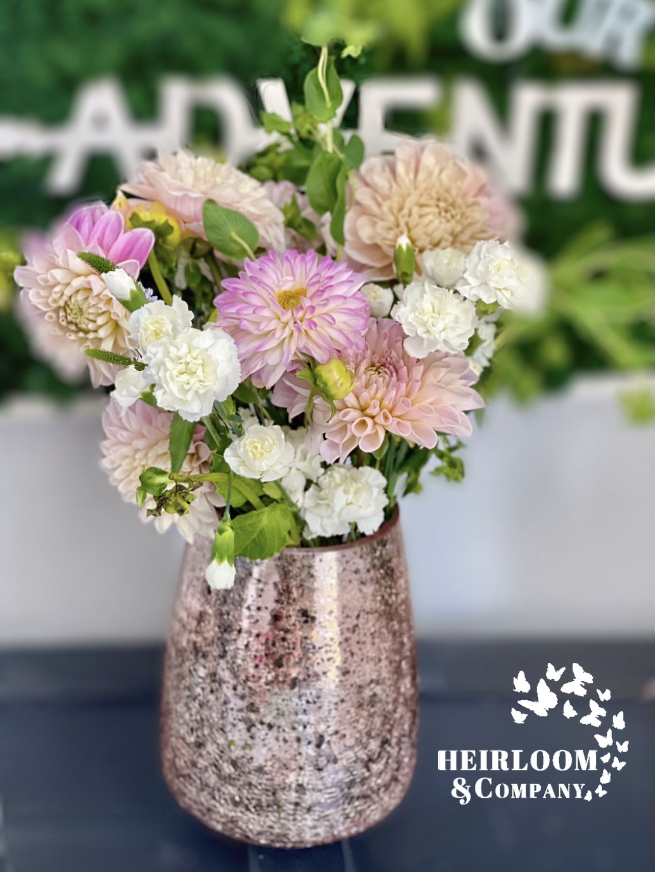 Sunshine and Dahlias Sunshine and Dahlias - A beautiful sunny arrangement featuring blush and light colored dahlias mixed with mini carnations and a variety of beautiful flowers meant to highlight the giant dahlias. Presented in a sparkly pink vase.