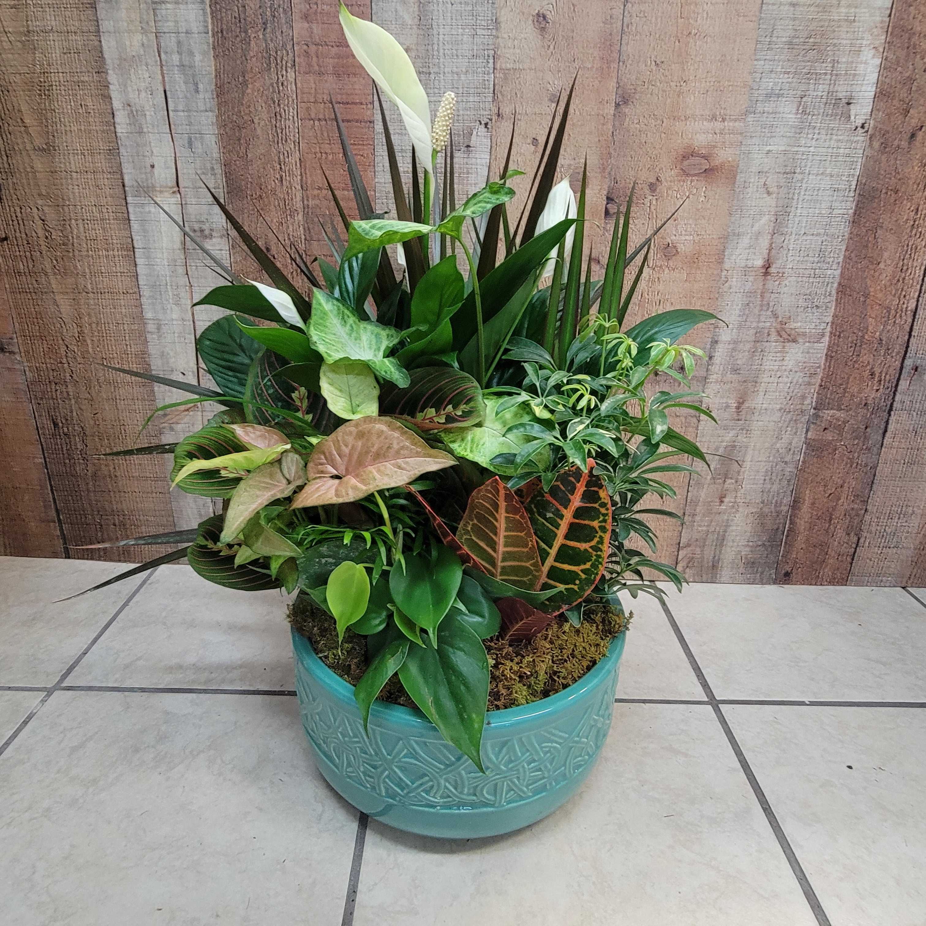 Dish Garden In Ceramic  - Multiple plants all include a peace lily can be replanted comes with a bow and fresh cut flowers are extra. 