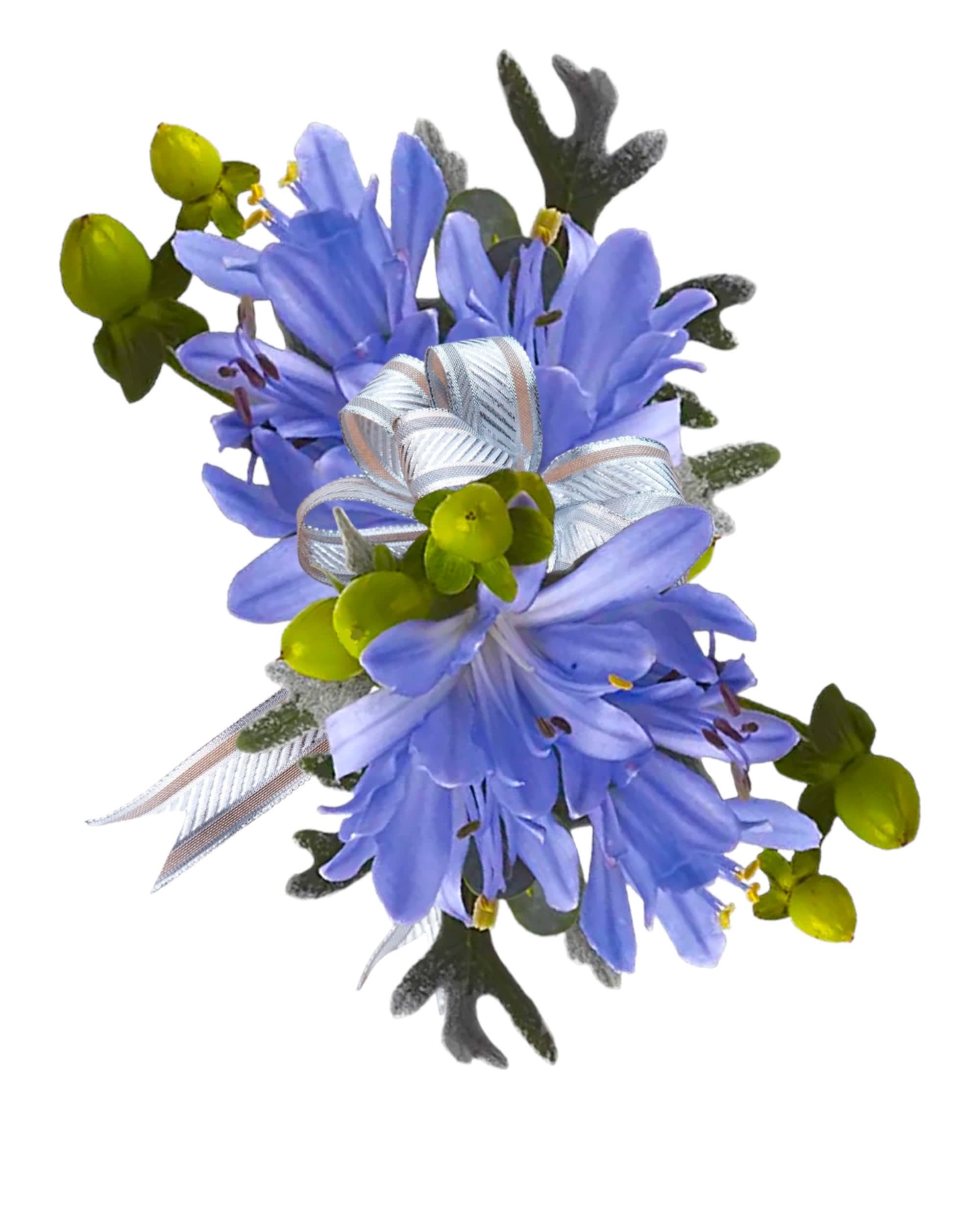 Bold and Blue Agapanthus Corsage - Order a Fresh Flower Boutonniere or Corsage for Your Prom Date, other Special Occasion. Frequently, both the corsages and boutonnieres are ordered at the same time. Doing so helps ensure that the flowers match   DETAILS BOUTONNIERE (worn on left side) WRISTLET CORSAGE (worn on left side) (if you want a pin-on Corsage instead, please specify under the card message)   RIBBON INCLUDED Item #NF-958 Orientation: One-Sided  FLORIST-TO-DOOR or PICK-UP FROM OUR STORE Same day flower delivery on most orders placed online by 12 pm or 10 am on weekends PST.  BLOOM DETAILS Agapanthus Hypericum Greenery  The Standard is approx. 4 1/4&quot; H x 7 1/2&quot; W. Corsage Only. The Deluxe includes the Boutonniere and the Corsage. The Boutonniere is approx. 4 1/2&quot; W x 2 1/2&quot; H.  How to place an order?  1. You can place an order directly on this secure website OR 2. You can call in your order by dialing: (323) 262 - 9238 OR 3. You can visit our store (appointment recommended 323.262.9238)  NINFA'S FLOWERS 2405 WHITTIER BLVD. LOS ANGELES, CA. 90023  ATTENTION: *Please note that on busy holidays, Valentine's Day, and Mother's Day, we cannot verify if the recipient received the flowers until the following day. You can verify delivery on the website after 10:00 pm, call 323.262.9238 the following day after 10:00 am, or contact the recipient directly. Thank you for your patience and understanding.