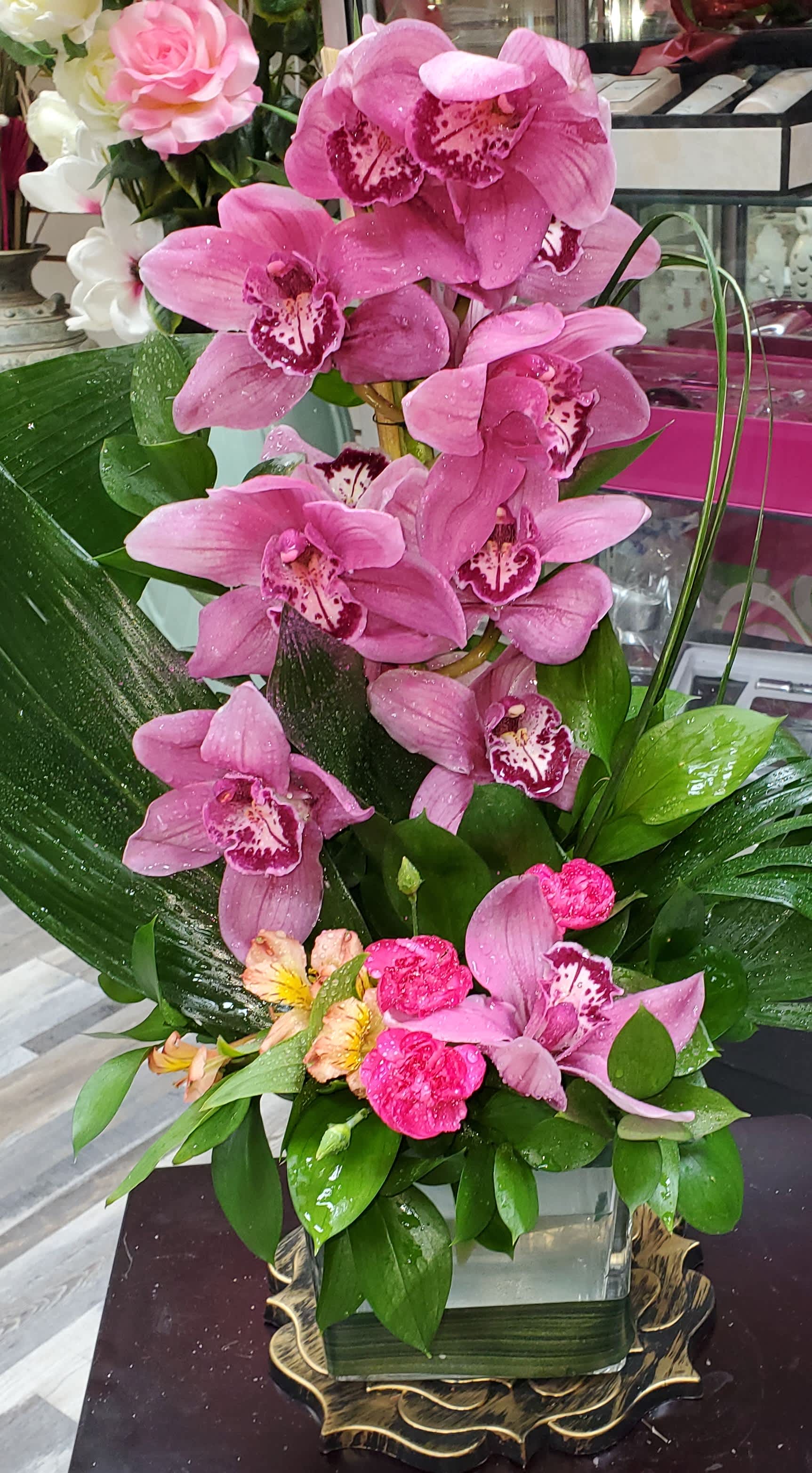 ORCHID BEAUTY ORCHID BEAUTY - Orchid Opulence: For those who like their flowers like they like their vacations--exotic and luxurious!