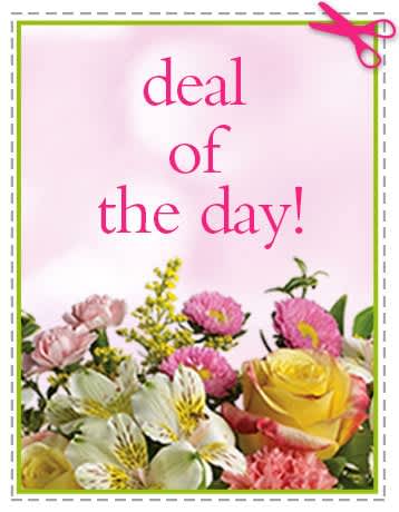 Deal of the Day - Designers choice seasonal flowers 50.00 value