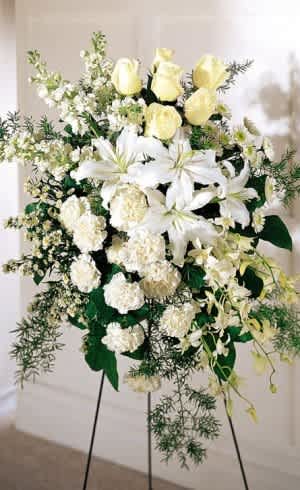 White Tribute Spray White Tribute Spray - Traditional funeral spray in whites and creams. A beautiful display of flowers for a solemn occasion featuring Snapdragons, Oriental lilies and Orchids.