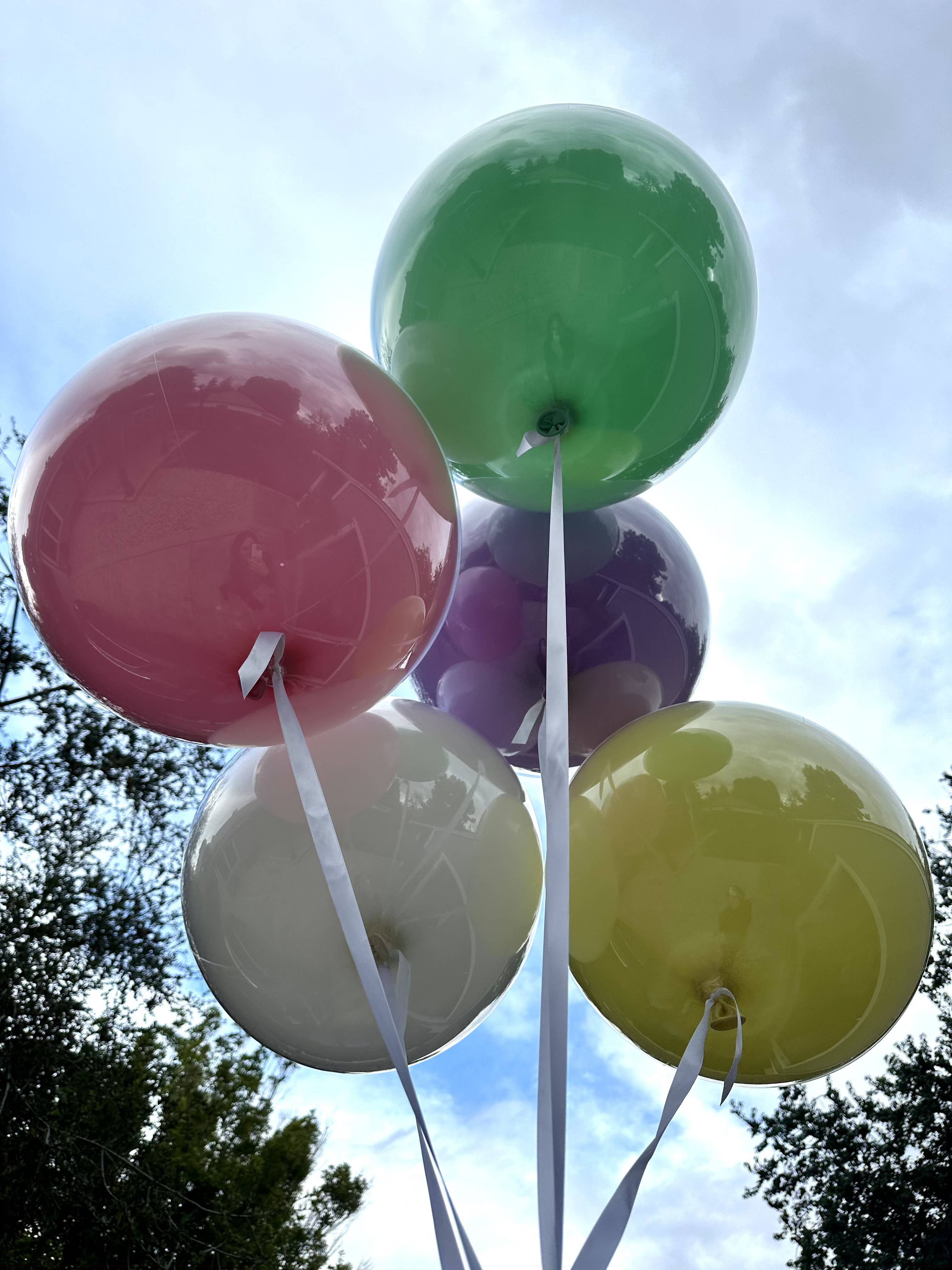 Bubble Balloon - Our special balloon is in town!  If you're looking to upgrade your floral gift or surprise someone with a special add on, that's your best choice.   Unique Bubble Balloon, comes in clear or stuffed with different colors latex balloon.    Colors for your choice: Pink, purple, white, blue, green and yellow   We kindly ask to add to the order notes your color preference for the balloon.   Balloon size: 24&quot;