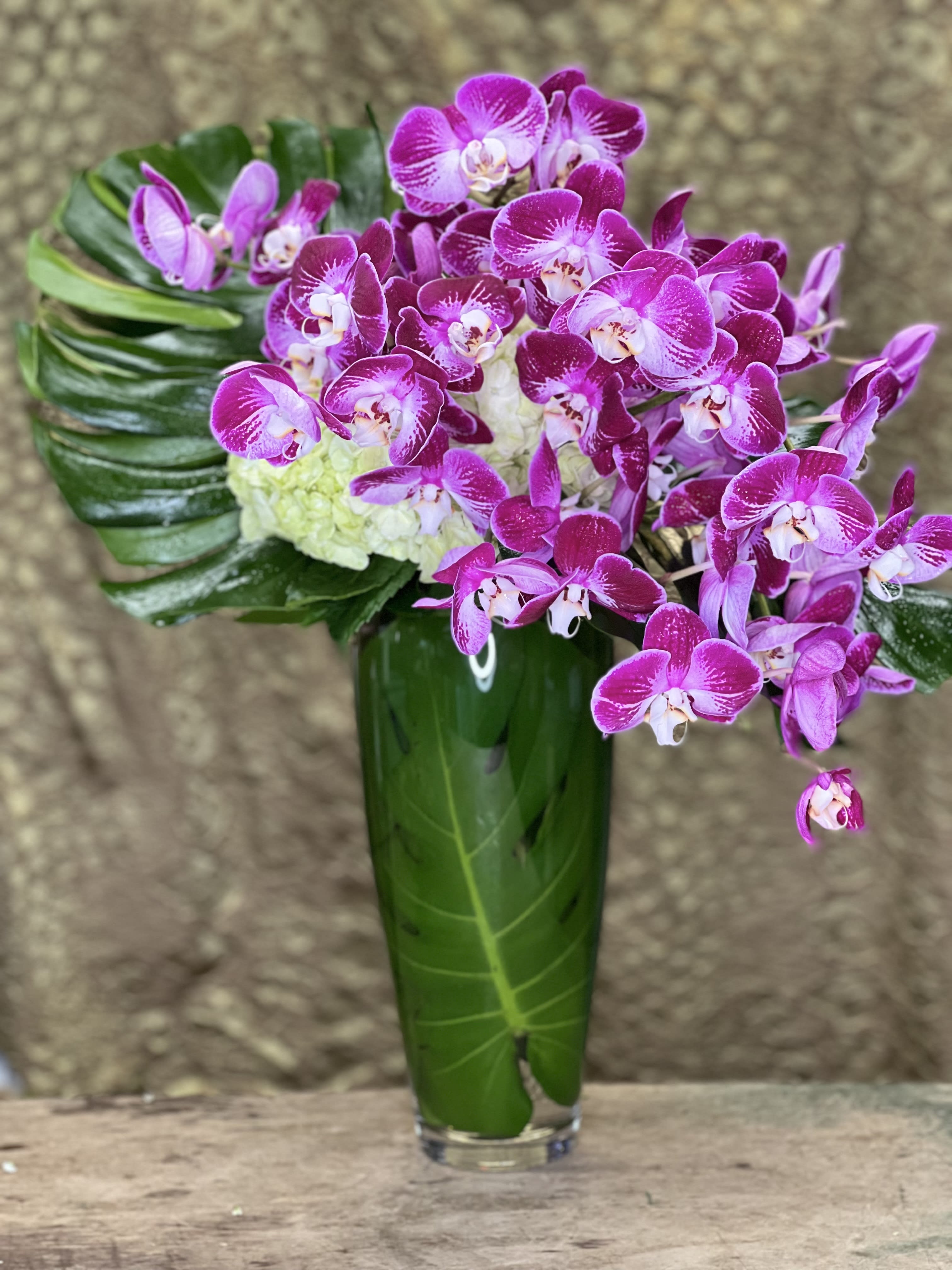 CASCADING PURPLE - This beautiful Cascade of Purple Phalaenopsis Orchids is a stunning representation of Natures beauty brought in with a modern clean look.  Set off by large tropical leaves with a base of hydrangea.  (Colors may differ and are available in White for other special occassions)