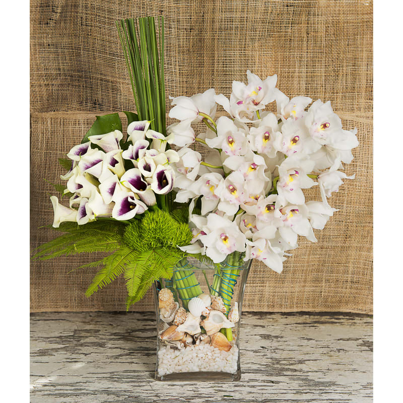 Malibu Modern - A truly incredible collection of couture flowers designed in a glass vase filled with sea shells. Bunches of white calla lilies and white cymbidium orchids are accented by leaves and grass in this striking bouquet. Long lasting, contemporary and beautiful.